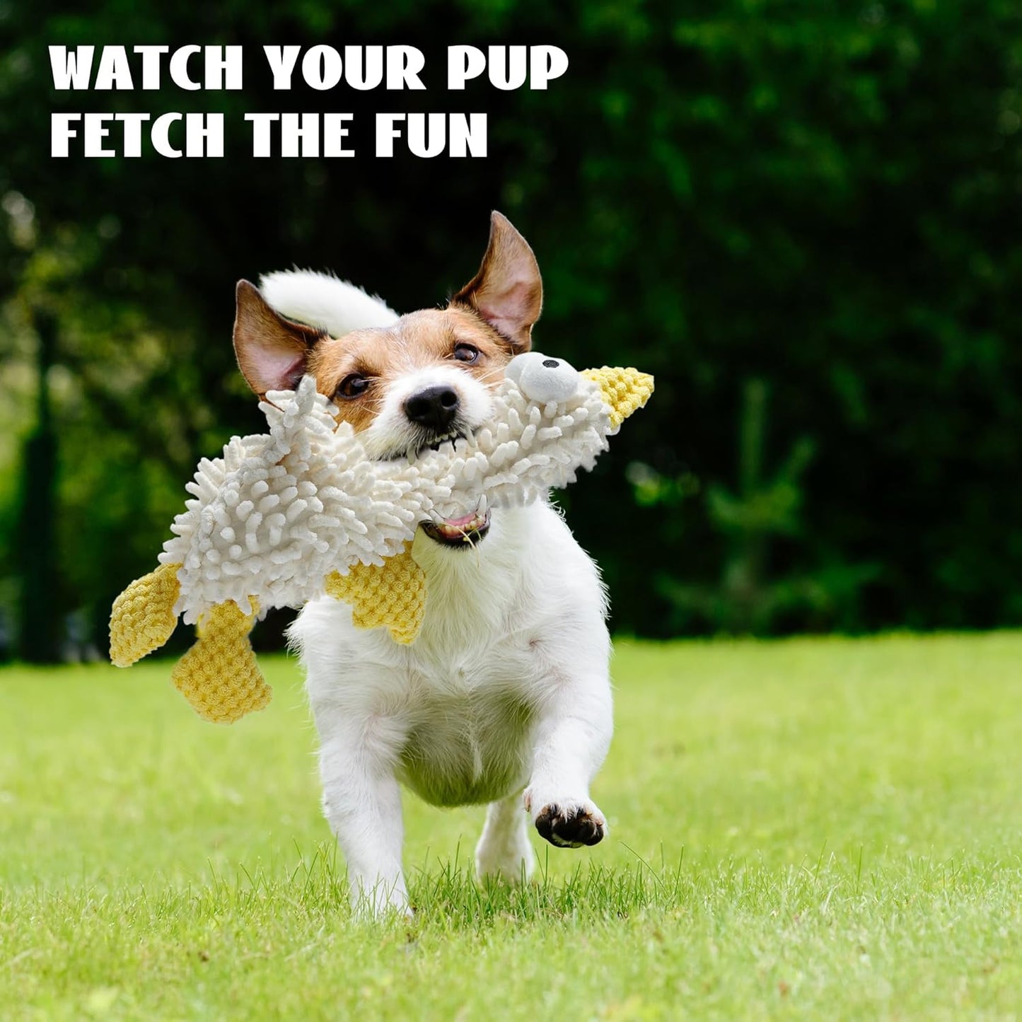 Nocciola 5 Packs Squeaky Dog Toy Plushies, Cute Soft Squeak Crinkle Plush Stuffed Durable Pet Animal Chew Puppy Toys for Small Meidum Large Breed