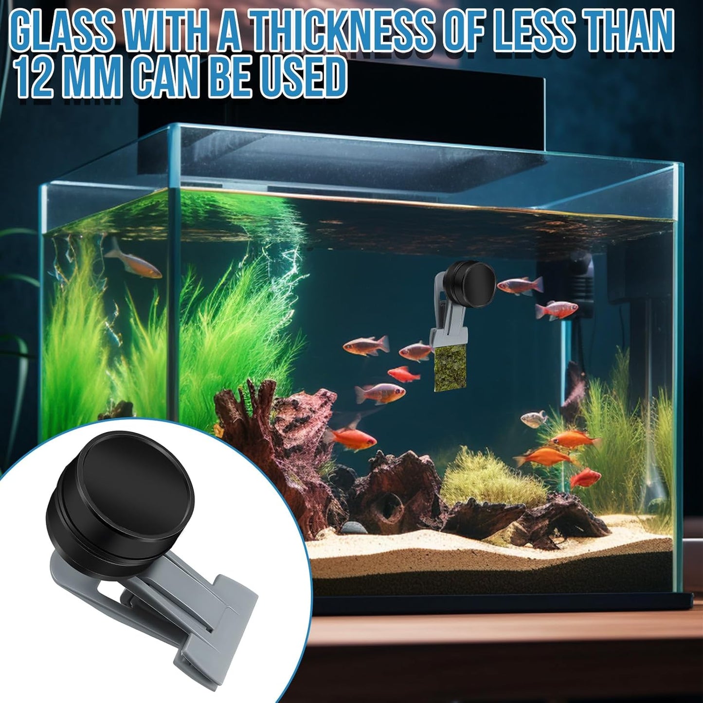 Magnetic Seaweed Feeder Clip, Saltwater Fish Aquarium Accessories Supplies Algae Magnet Seaweed Feeder Magnetic Clips,Goldfish Fish Tank Feeding Ring Suitable for Aquatic Pets