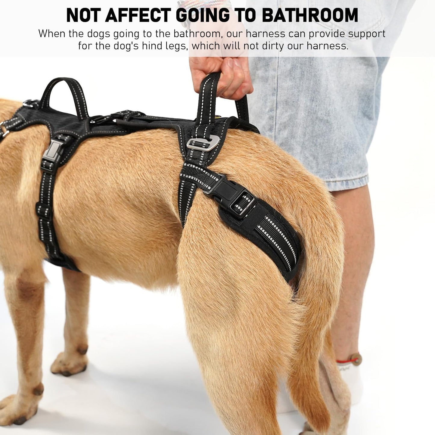 COODEO Mobility Dog Lift Harness, Support Sling & Walking Sling for Dogs, Pet Rear Leg Rehabilitation Support Vest, Dog Carrier for Senior Dogs with Joint Injuries, Arthritis, Up Stair (Black, M)