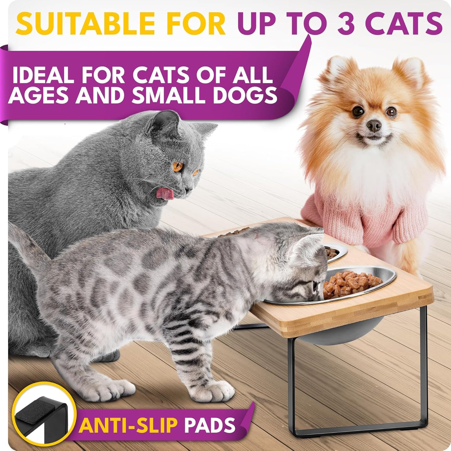 Raised cat Bowls for Indoor Cats by WinTruffles, Elevated cat Bowls, Tilted and Elevated Anti Vomiting Cat Dishes for Food and Water, Set of 3 Stainless Steel Bowl
