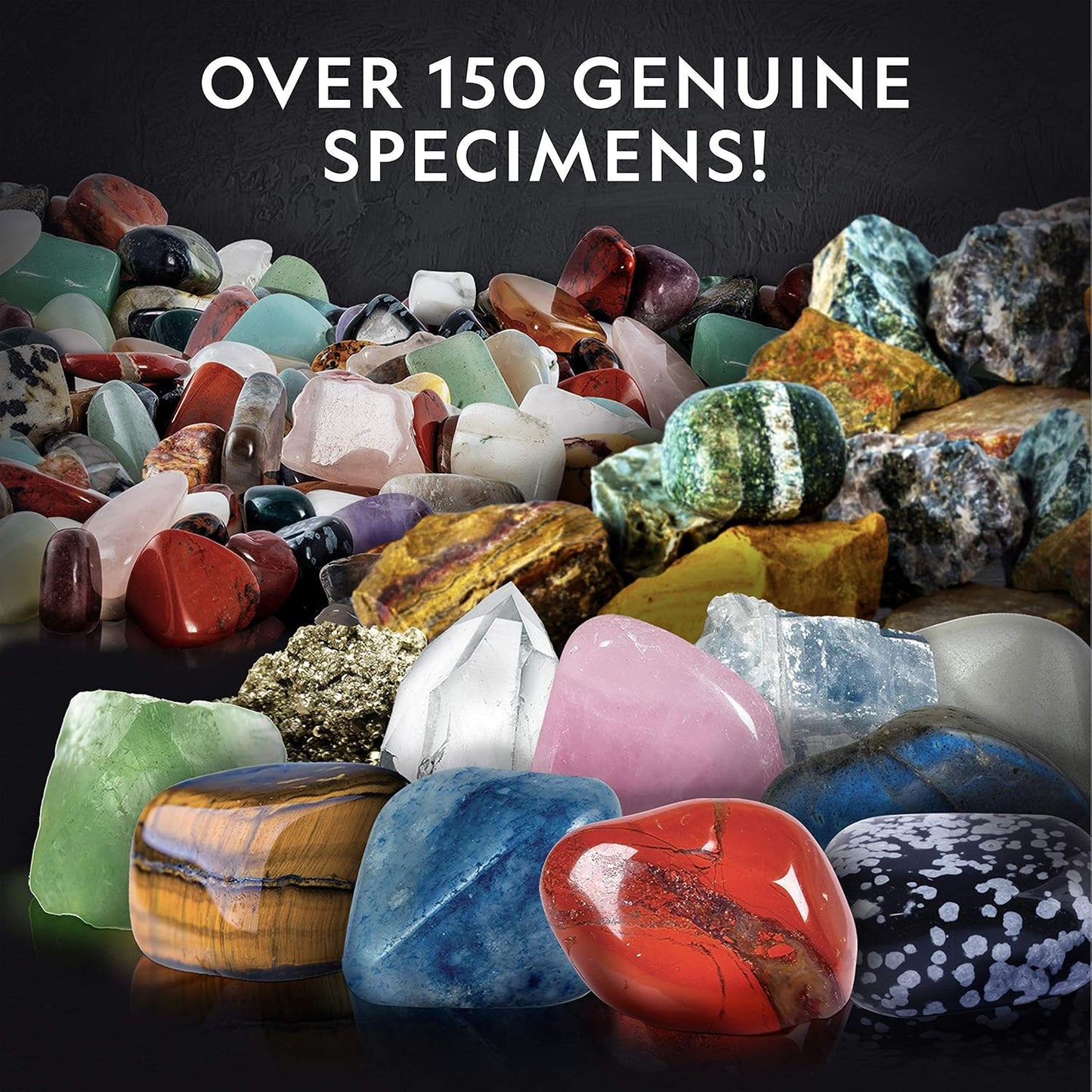 National Geographic Rock Bingo Game - Play Rock Bingo, Mineral Memory, Gemstone Trivia, & Card Games, Collection Includes Over 150 Rocks and Minerals, Educational STEM Toy for Kids (Amazon Exclusive)