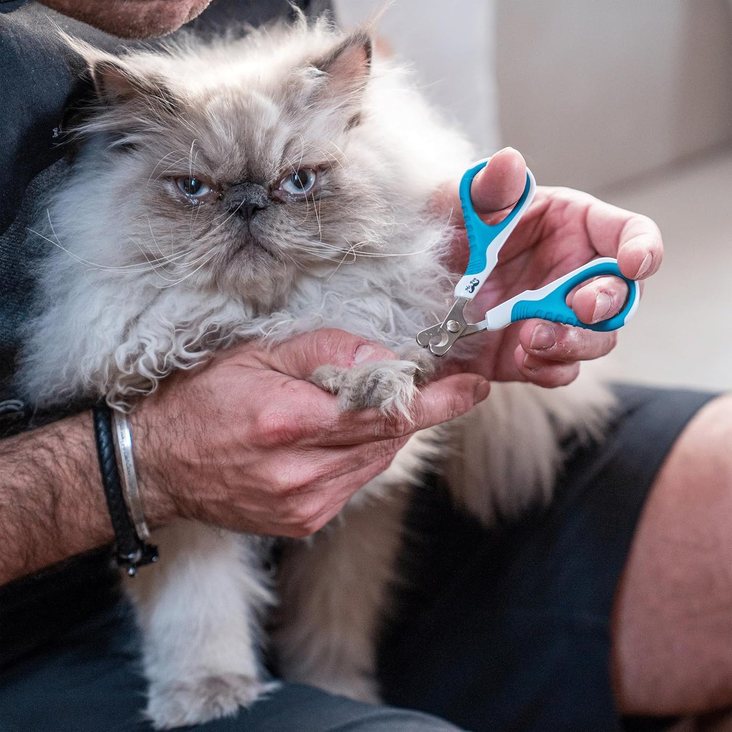 Mr. Pen- Cat Nail Clipper, Pet Nail Trimmers, Kitten Claw Clippers, Easy to Use, Precision and Sharp Cut