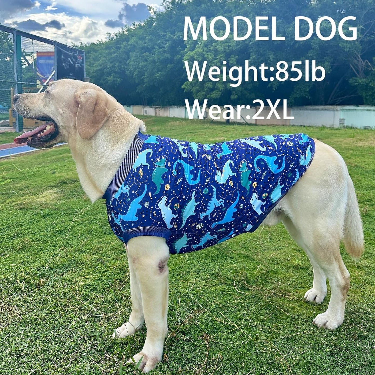 Dog Navy Sleeveless T Shirts with Universe Dinosaur Pattern Printed Soft Vest for Large Dogs (L, Vest)