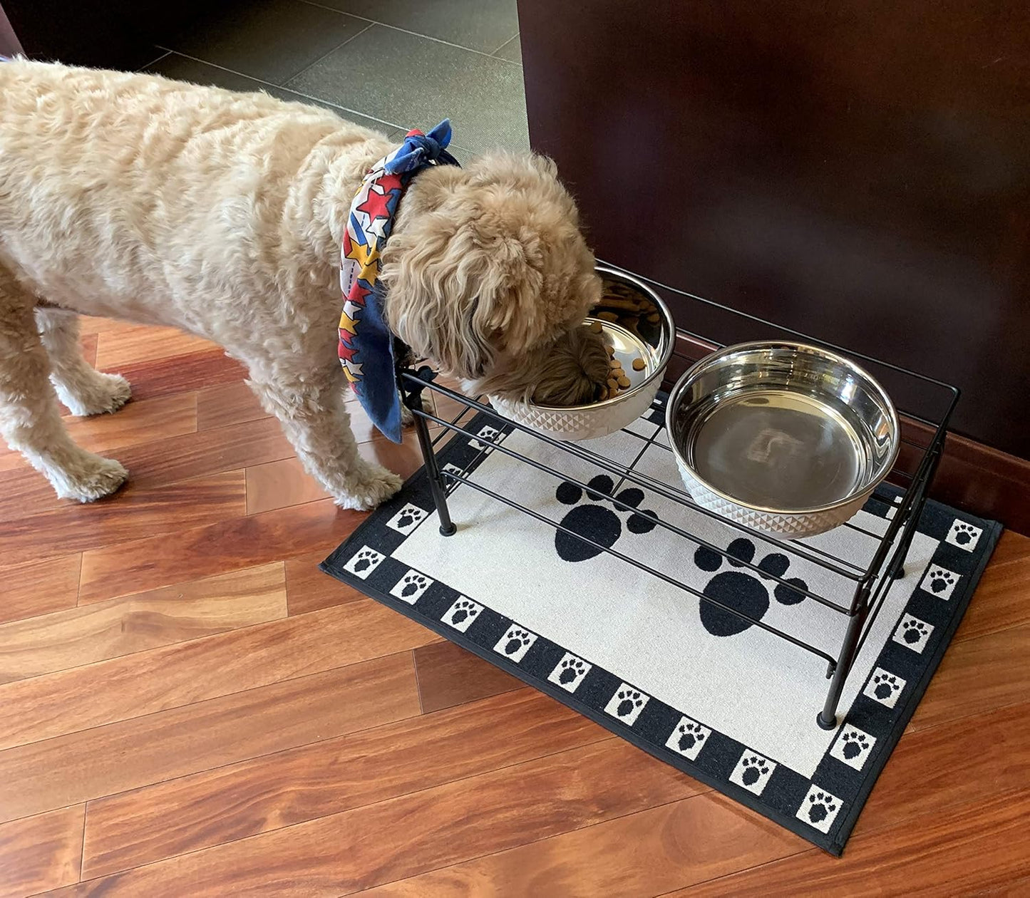 PetRageous 81032 Brady's Set the Table Steel Frame Dog Feeder 10-Inch Tall by 20-Inch Long and 10-Inch Wide, Holds Two 9-Inch Diameter Bowls, for Large Dogs and Extra Large Dogs, Black