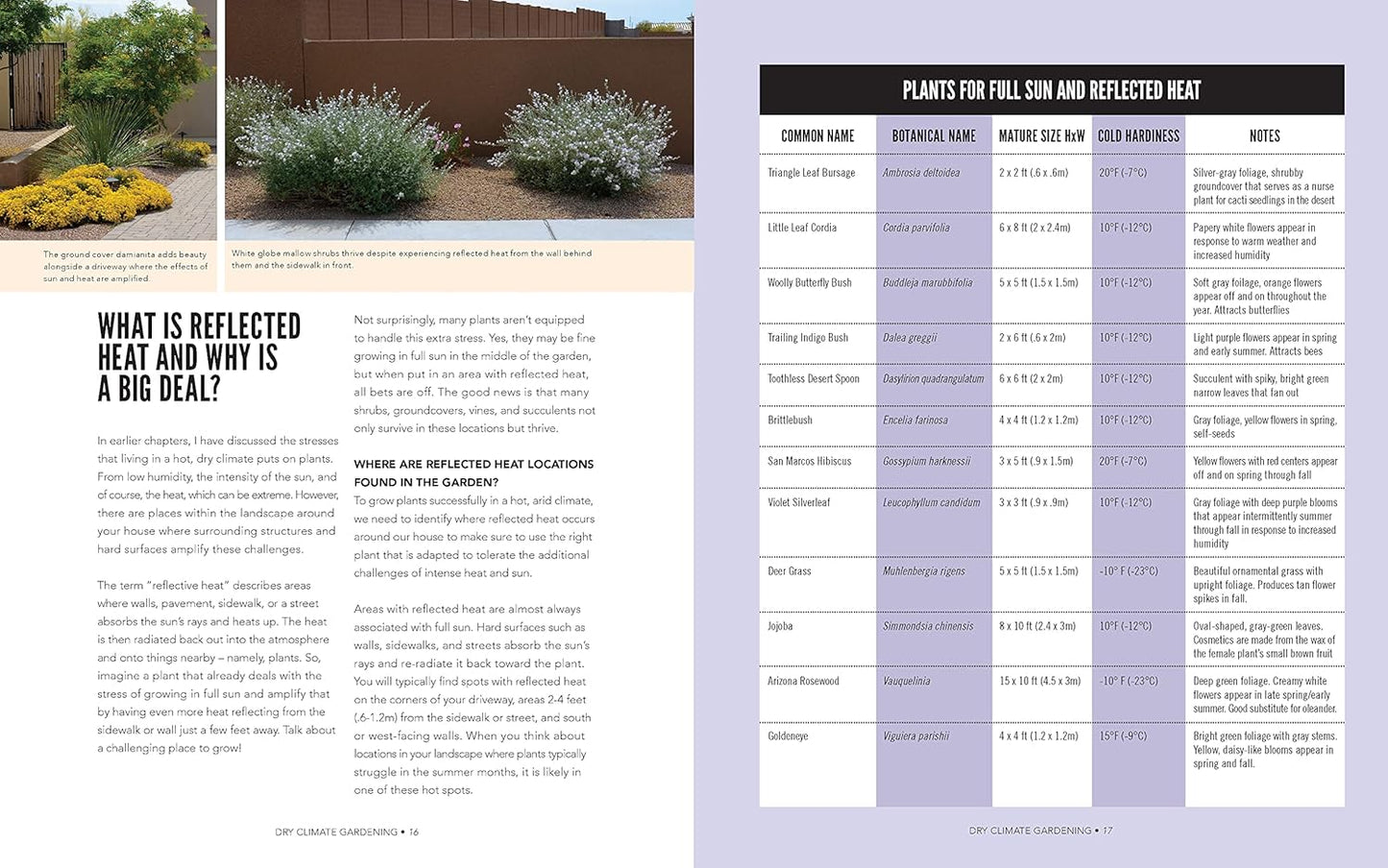 Dry Climate Gardening: Growing beautiful, sustainable gardens in low-water conditions