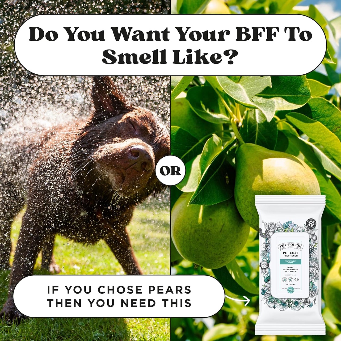 Poo-Pourri Pawsitively Fresh Deodorizing Pet Wipes – Quick Cleaning Wipes for Dogs & Cats – Plant Based Ingredients – Vet Recommended – Cleaner Odor Remover Wipes for Paw, Fur & Skin Soothing