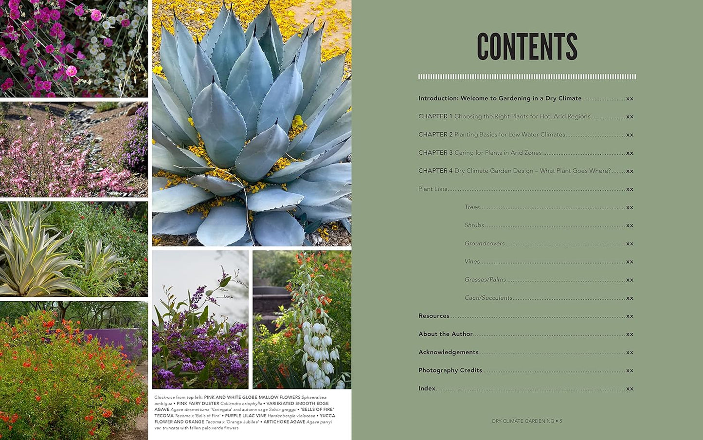 Dry Climate Gardening: Growing beautiful, sustainable gardens in low-water conditions