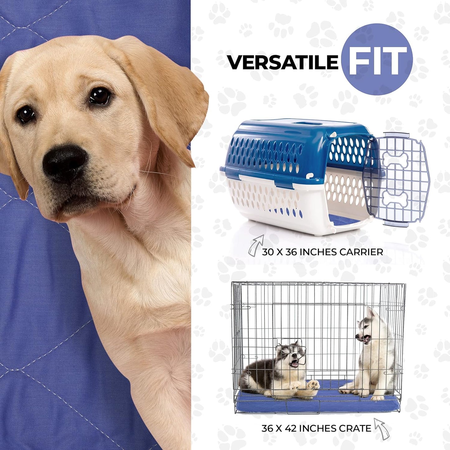 Beck’s USA Made Reusable Pet Pee Pads for Dog & Cat Pee Problems|Advanced Leak Free Design + Color Change Wetness Indicator| 1 Pad= 500 Disposable |Crate Training Waterproof Puppy Pad or Cat Pee Pad