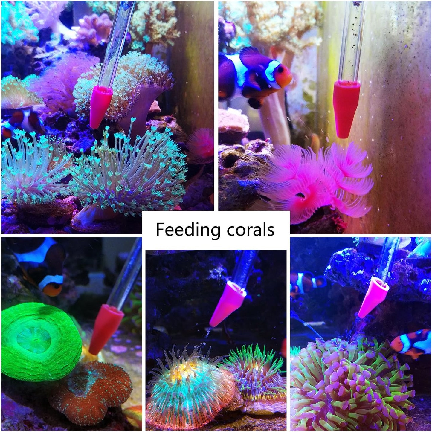 Aquarium Choice Coral Feeder Long Syringe Tube Upgraded Version 58CM/22.83Inch Length Two Units(Patented Product)