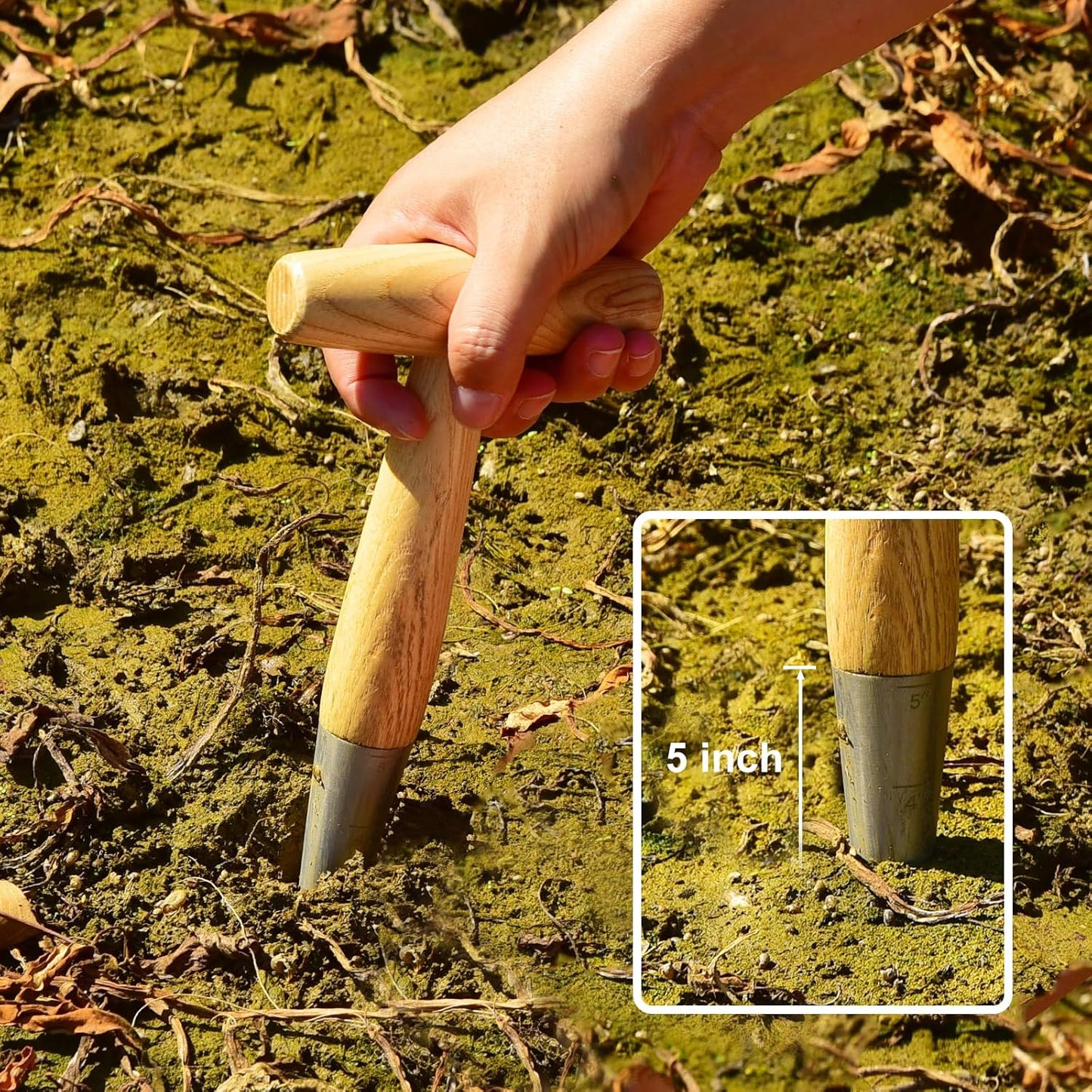 Seed Dibber Hand Dibber Bulb Planter Tool, Stainless Steel Garden Dibber with Wooden Handle for Planting Seeds, Bulbs, Tulips, Daffodils and Flowers