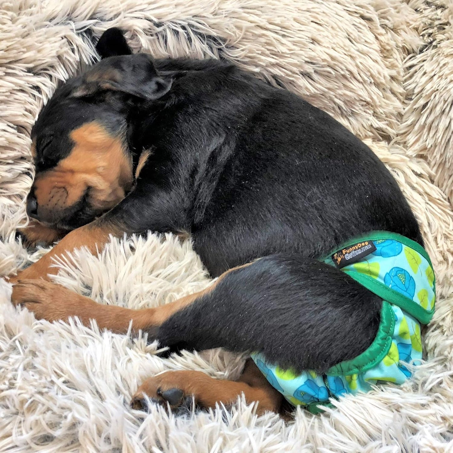 Pack of 3 Female Dog Diapers with 4 - Layers of Absorbent Pads Cat Panties Waterproof Leak Proof Washable (XS: Waist 8" - 12", Neon Pattern)