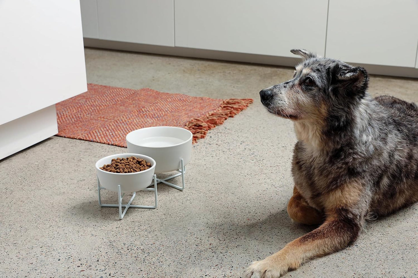 Waggo Simple Solid Dog Bowl with Iron Stand – Elevated Ceramic Feeder or Water Bowl for Small or Large Dogs (Large, Matte White)