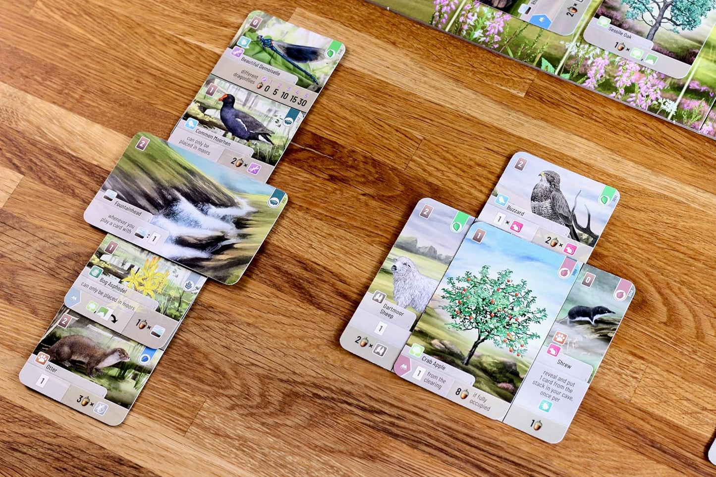 Forest Shuffle Dartmoor Card Game - Build Habitats, Place Trees & Attract Fauna in This Standalone Strategy Game for Kids & Adults, Ages 10+, 2-5 Players, 60 Min Playtime