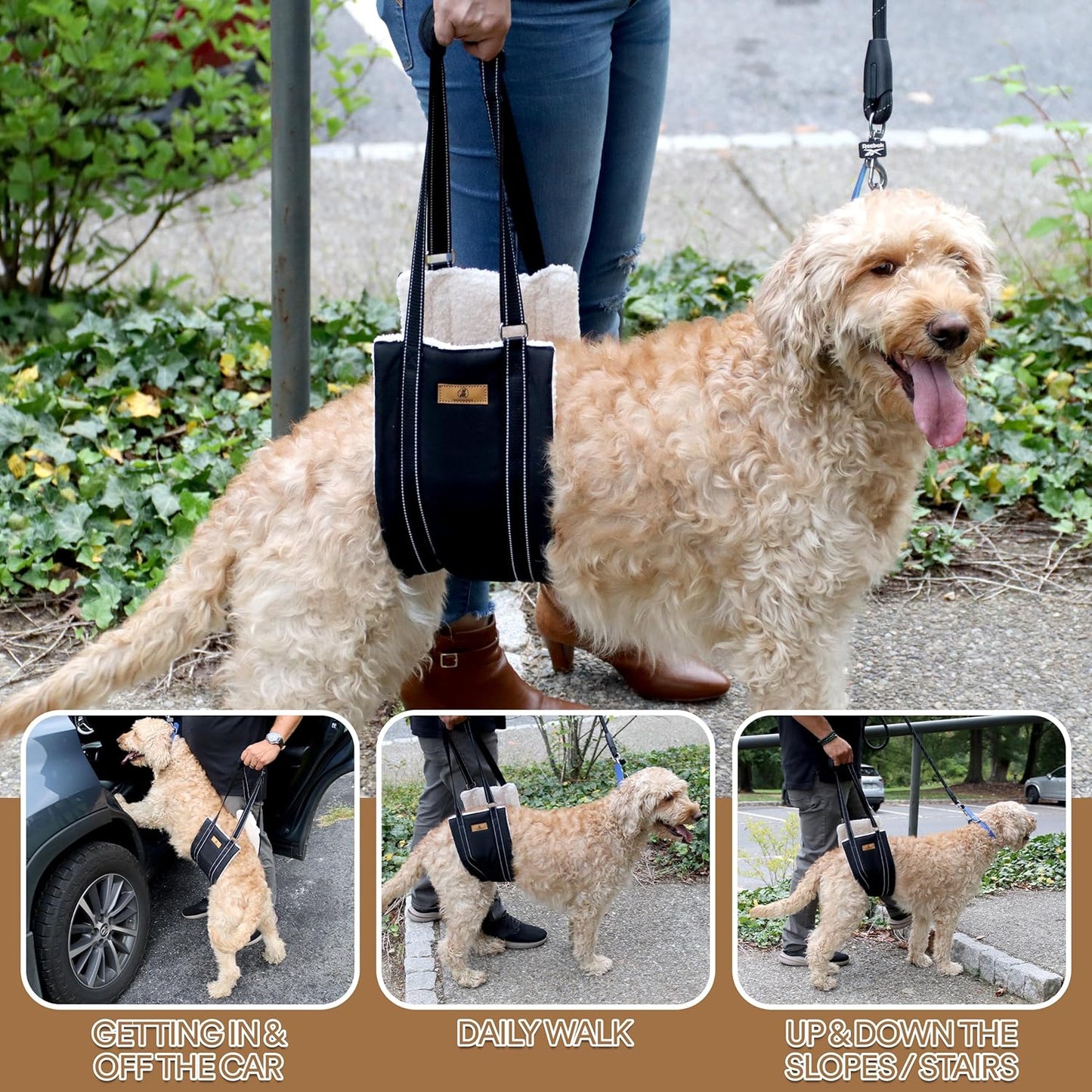 Dog Lift Harness – Adjustable Dog Sling for Large Dogs Hind Leg Support with Handle – Harness for Dogs with Weak Legs, Seniors, Injured, Disabled – Thick Plush Padding (Large)