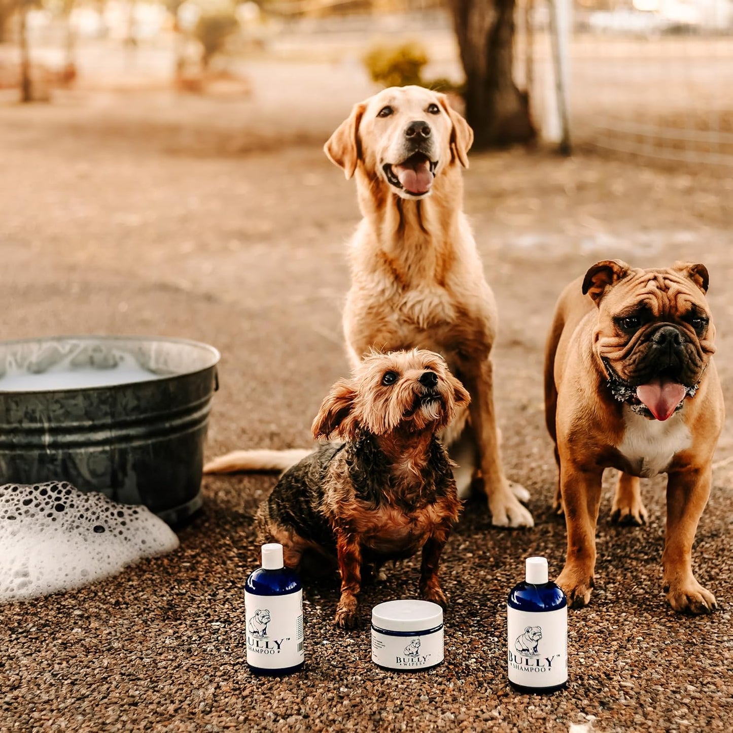 Bully Shampoo - Bulldog Dog Shampoo All Natural Organic Formula Refreshing Botanical Scent. Specifically for Bulldog Breeds and Itchy Skin. Leaves Skin and Coat, Soft, Shiny, Clean and Healthy!