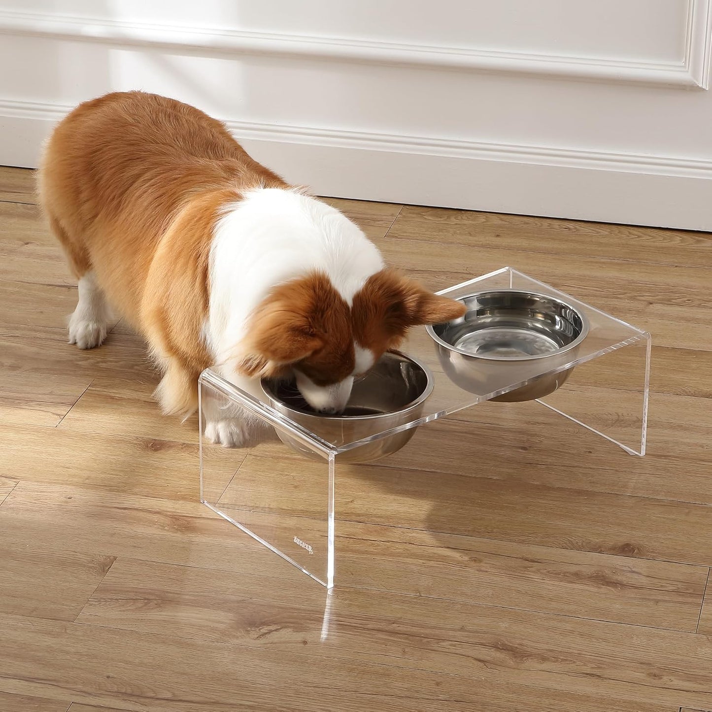 THE LICKER Store DBL2001A Keaton 7.5" Medium/Large Modern Lucite Rectangular Elevated Pet Feeder with 54oz 2-Stainless Steel Bowls, Clear/Chrome