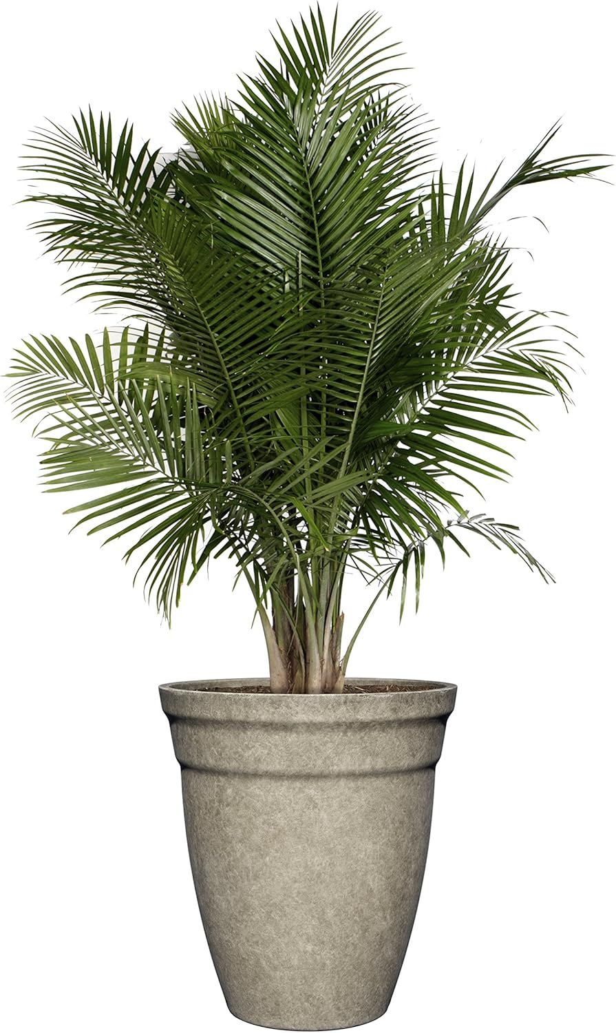 Classic Home and Garden Premiere Collection Planter, Allaire 12", Cloud Gray