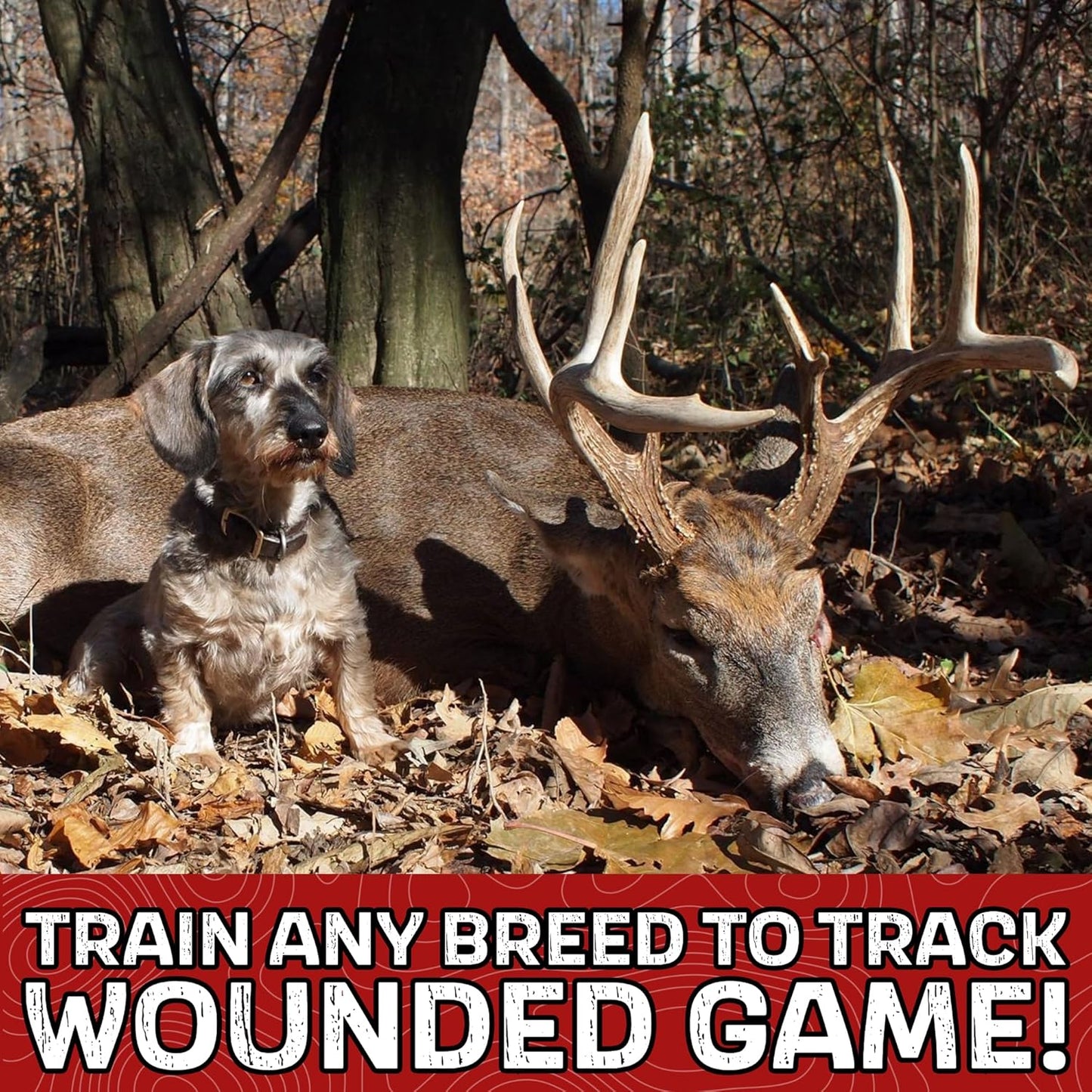 DogBone Tracking Dog Training System to Train Your Dog to Track Wounded Deer | Dog Training Kit | Hunting Dog Accessories | Dog Scent Training Kit | Deer Hunting Accessories | Dog Training Tools