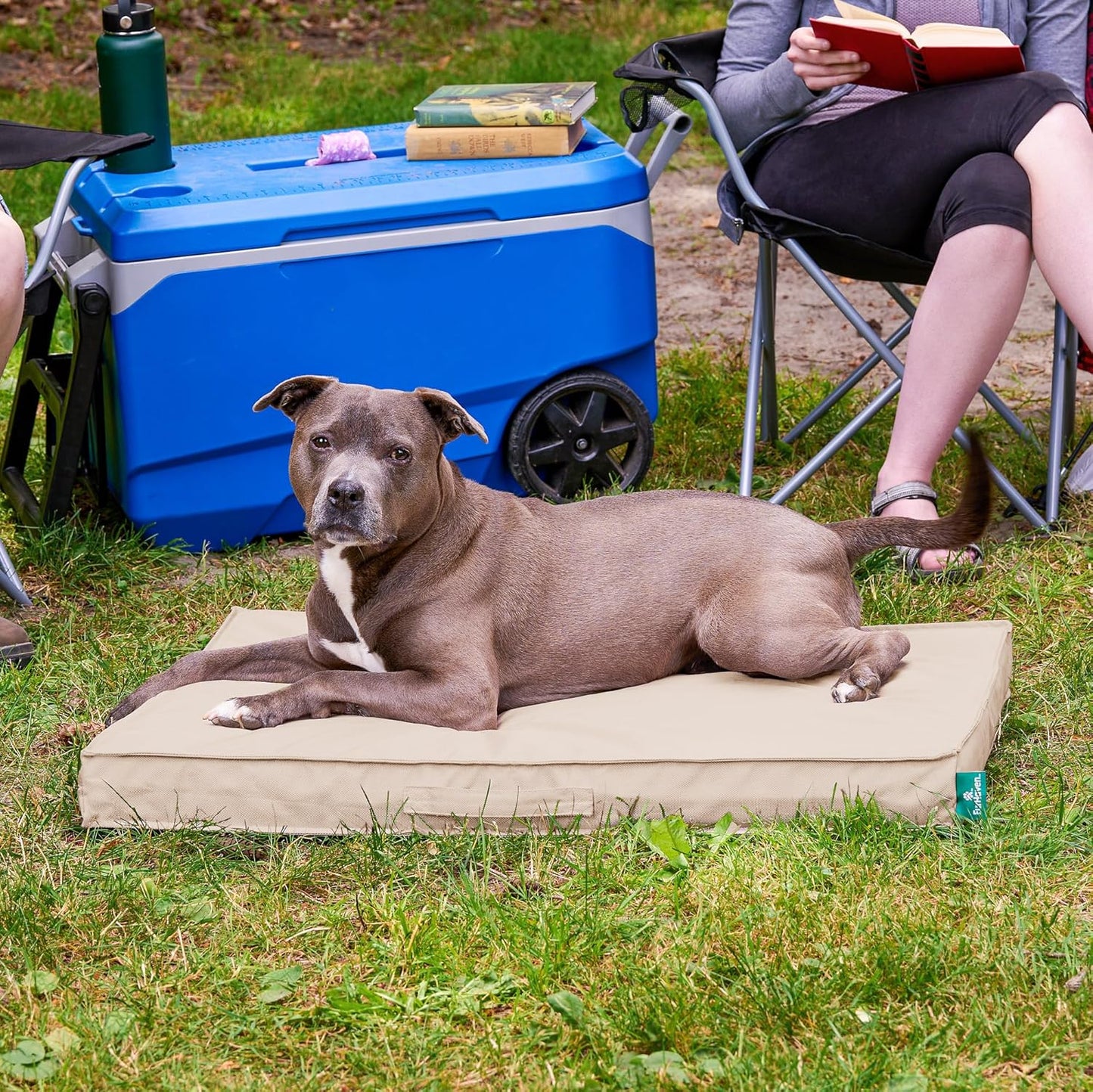 Premium Indoor-Outdoor Deluxe Orthopedic Mattress Pet Bed, Biscuit, Large