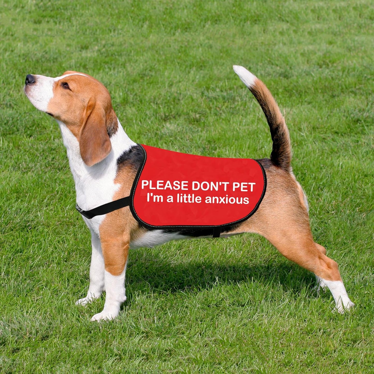 HOLLP Anxious Dog Jacket 'PLEASE DON'T PET I'm A Little Anxious' Red Christmas Dog Gift (Little Anxious-Large)