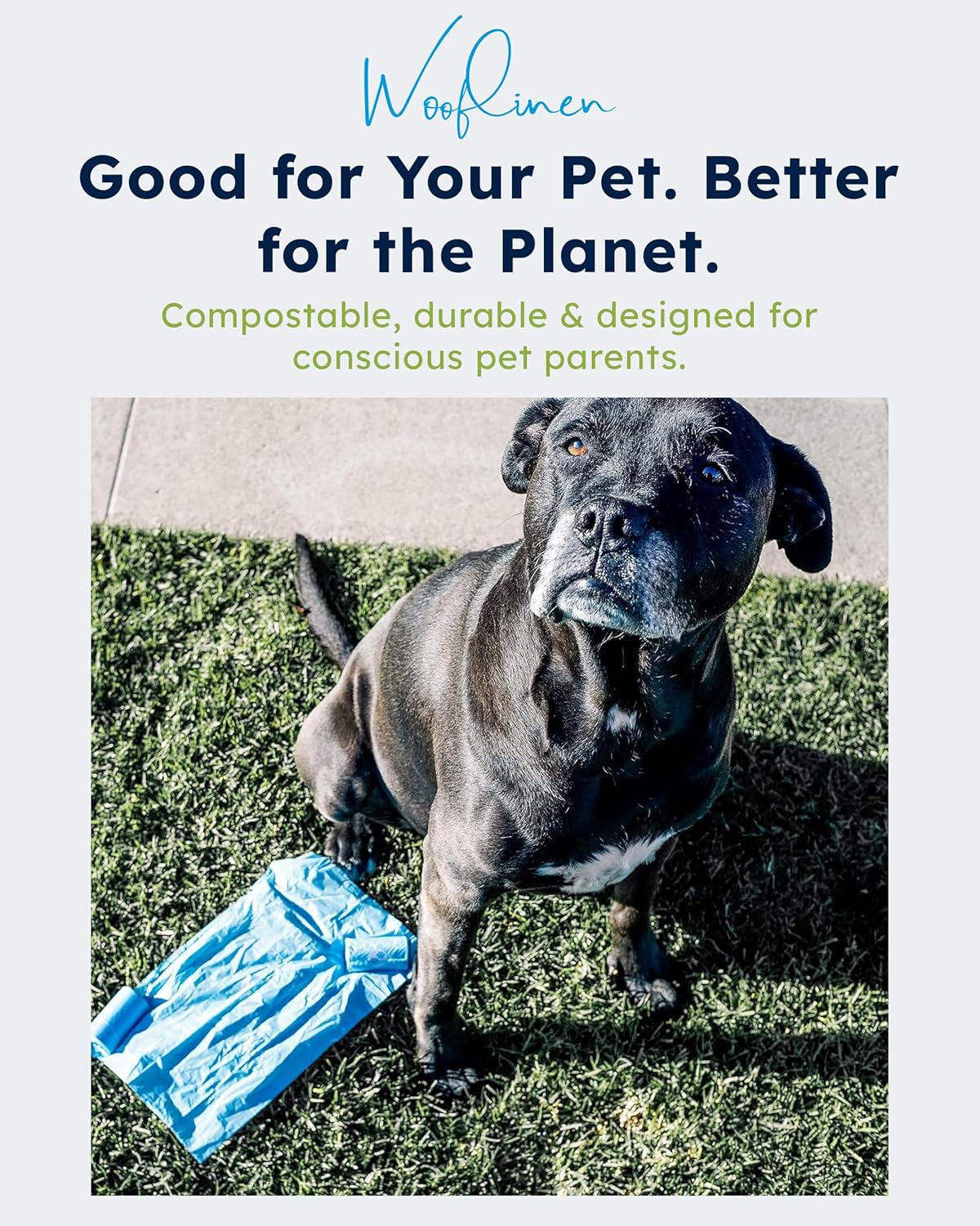 Wooflinen Unscented Compostable Dog Poop Bags – Leak-Proof Dog Poop Bags Rolls – Large 9x13”, Durable, Easy Tear – Made from Plant-Based Materials – For Big & Small Dogs – 240 Bags (16 Rolls)