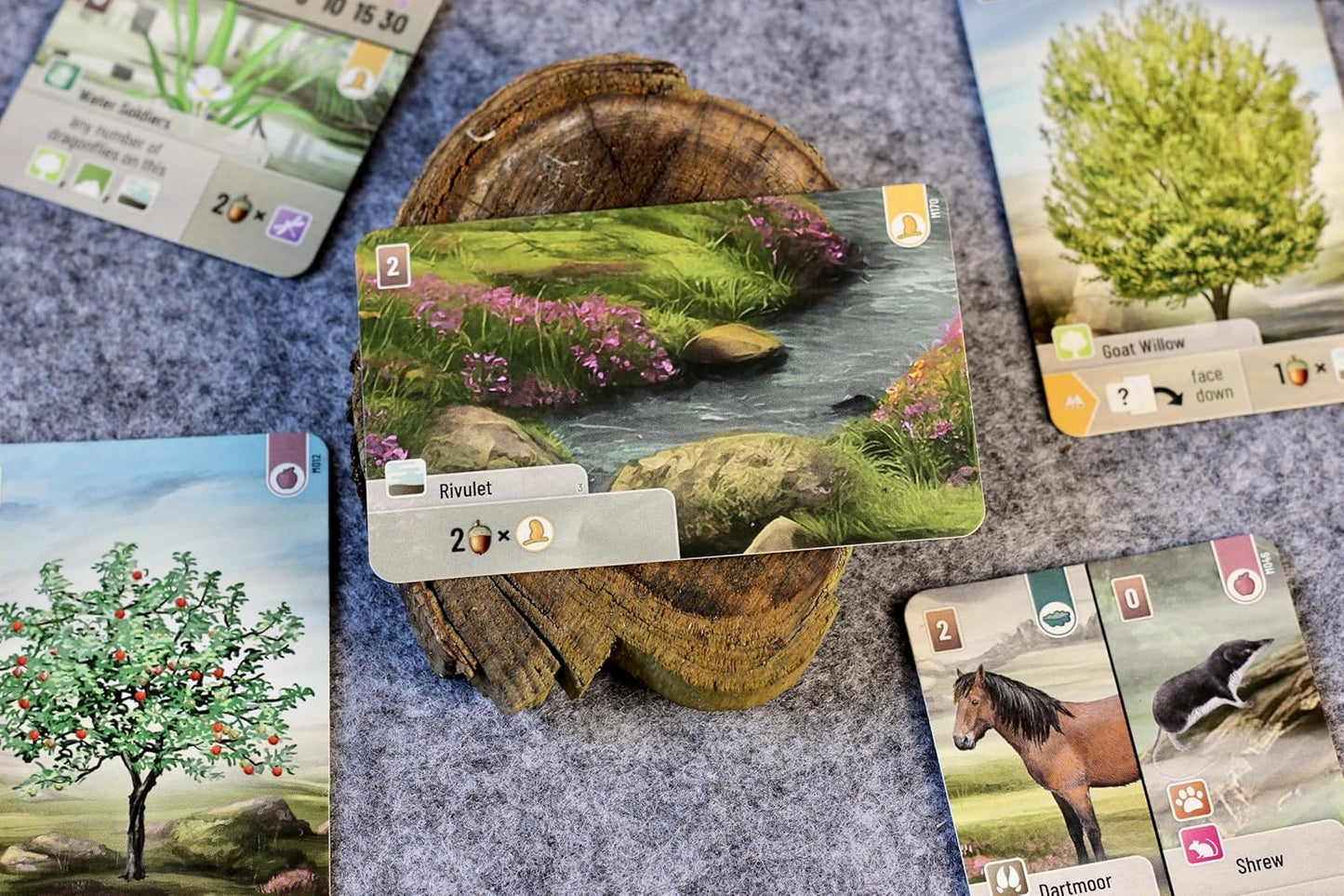 Forest Shuffle Dartmoor Card Game - Build Habitats, Place Trees & Attract Fauna in This Standalone Strategy Game for Kids & Adults, Ages 10+, 2-5 Players, 60 Min Playtime