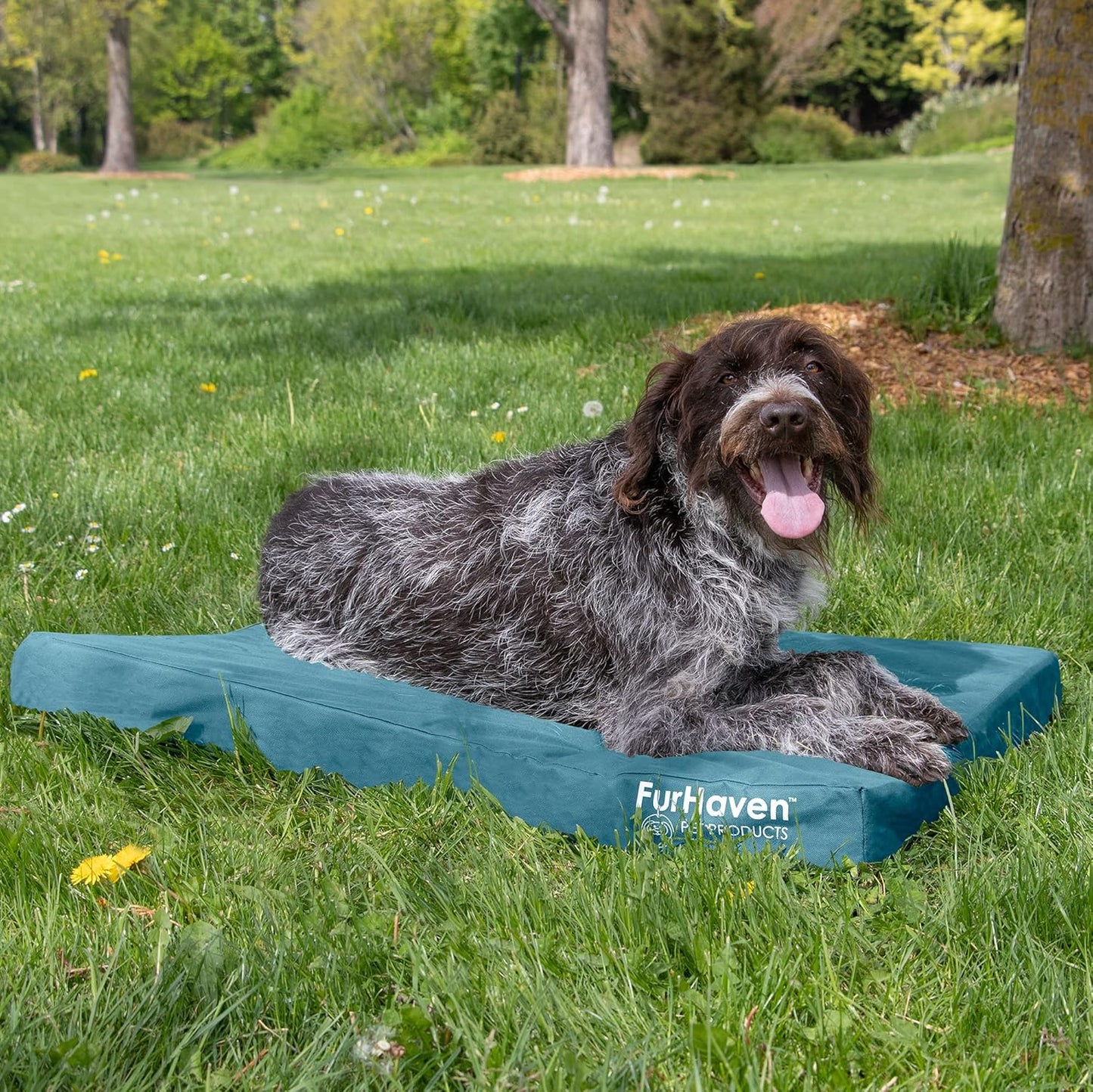Furhaven Indoor/Outdoor Logo Oxford Polycanvas Mattress - Water-Resistant Orthopedic Dog Bed w/ Removable Cover, 125 lb max - Deep Lagoon, Large