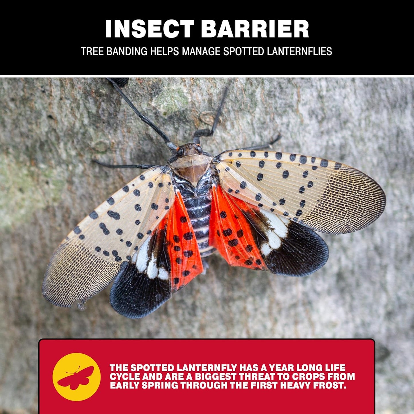 Catchmaster Tree Banding Insect Barrier DIY 15oz Pail, Lanternfly & Ant Traps, Outdoor Adhesive Crawling Insect Trap to Protect Trees, Fruit & Plants