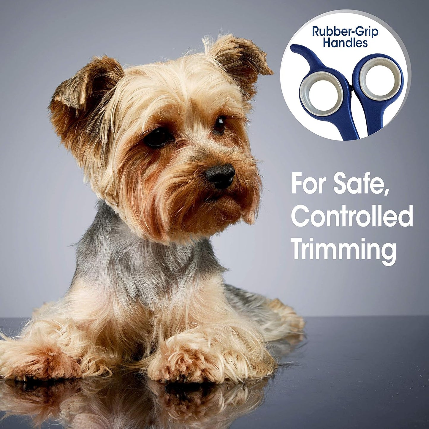 Four Paws Magic Coat Professional Series Grooming Brushes for Dogs & Cats l Trimmers, Nail Clippers, & Brushes Dog & Cat