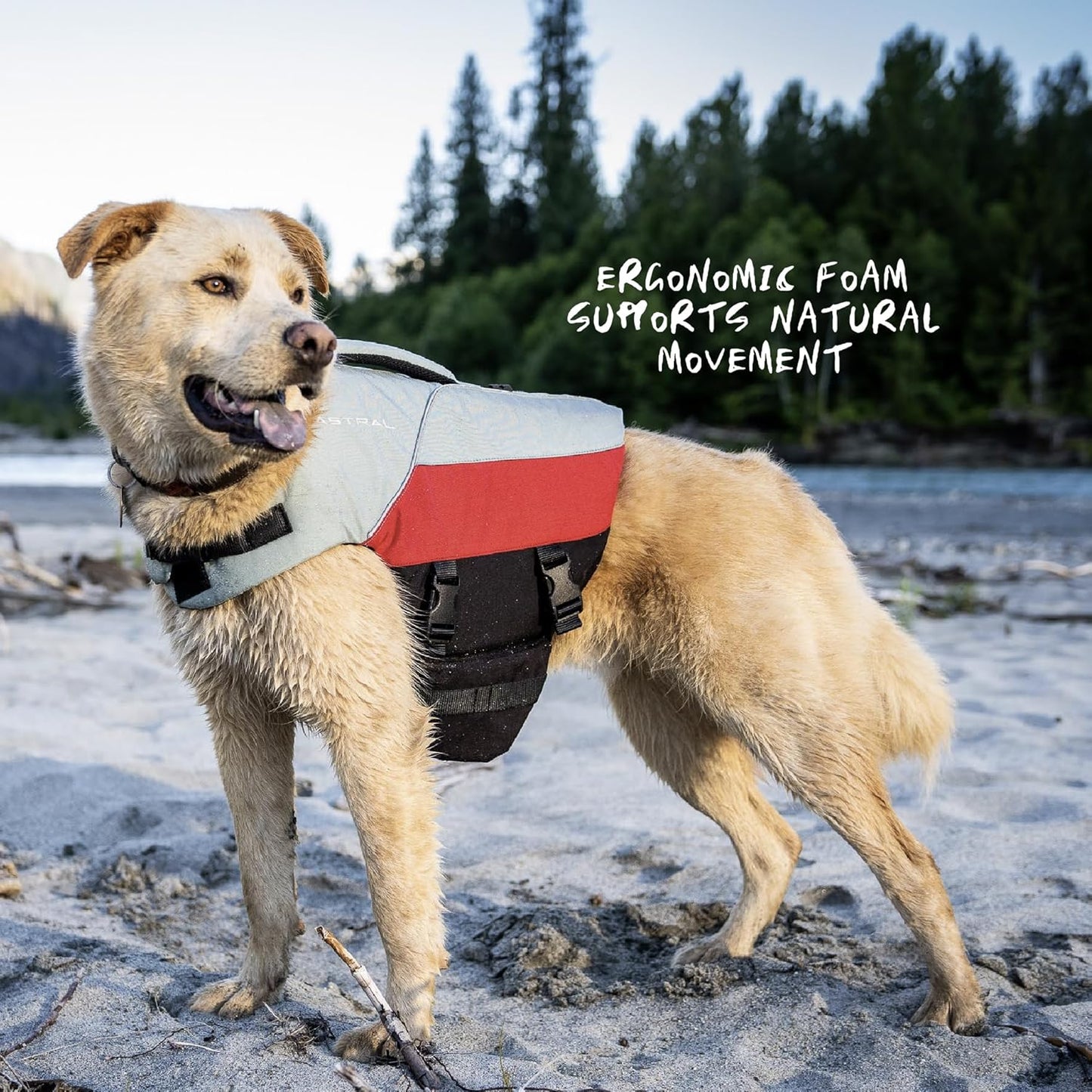 Astral BirdDog Canine Life Jacket - Durable, High-Buoyancy Dog Life Vest for Swimming & Boating - Hound Gray - X-Small