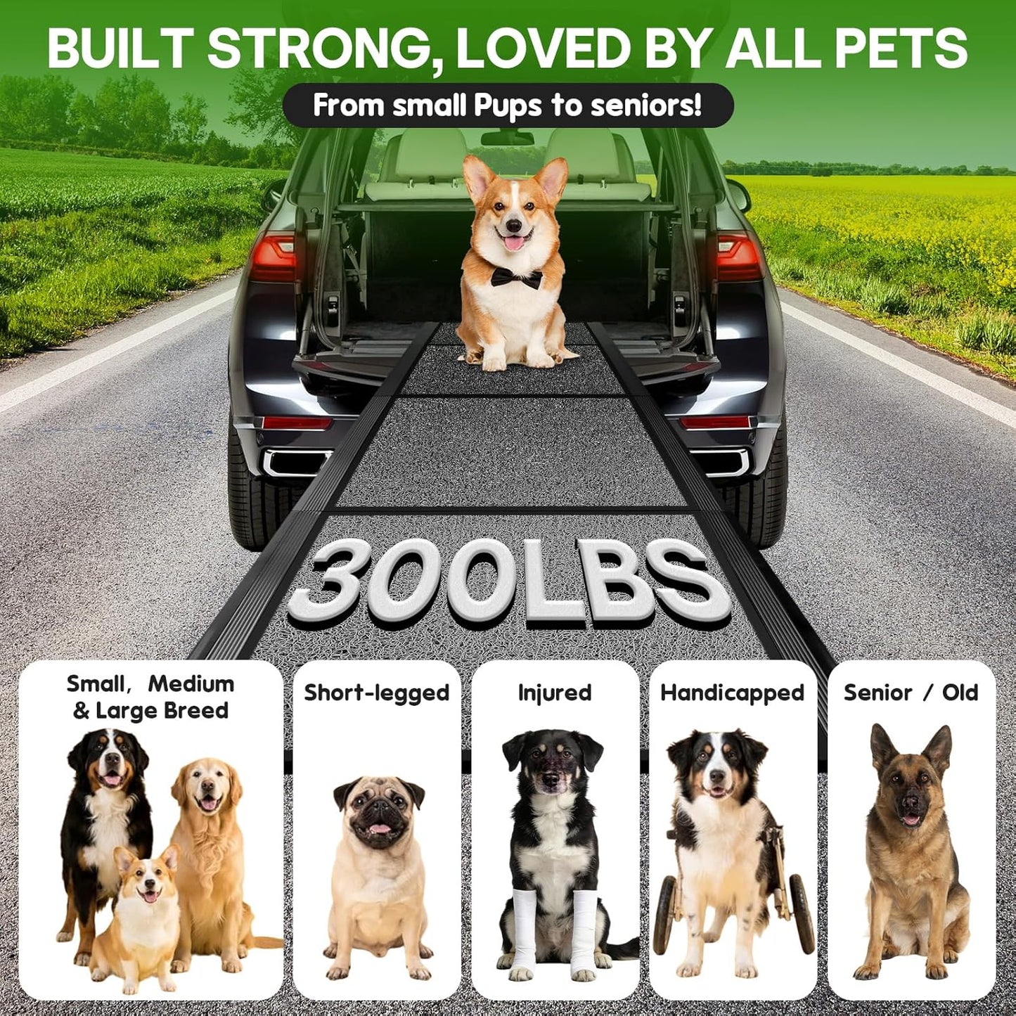 HEALLILY Dog ramp for Car, 71''x 20'' Dog Ramps for Large Dogs, Folding Outdoor Dog Ramps for Stairs, Up to 300LBS, Non-Slip Rug Surface, 5s installation, Dogs Car Steps for Large Dogs Suv, Truck, LKW
