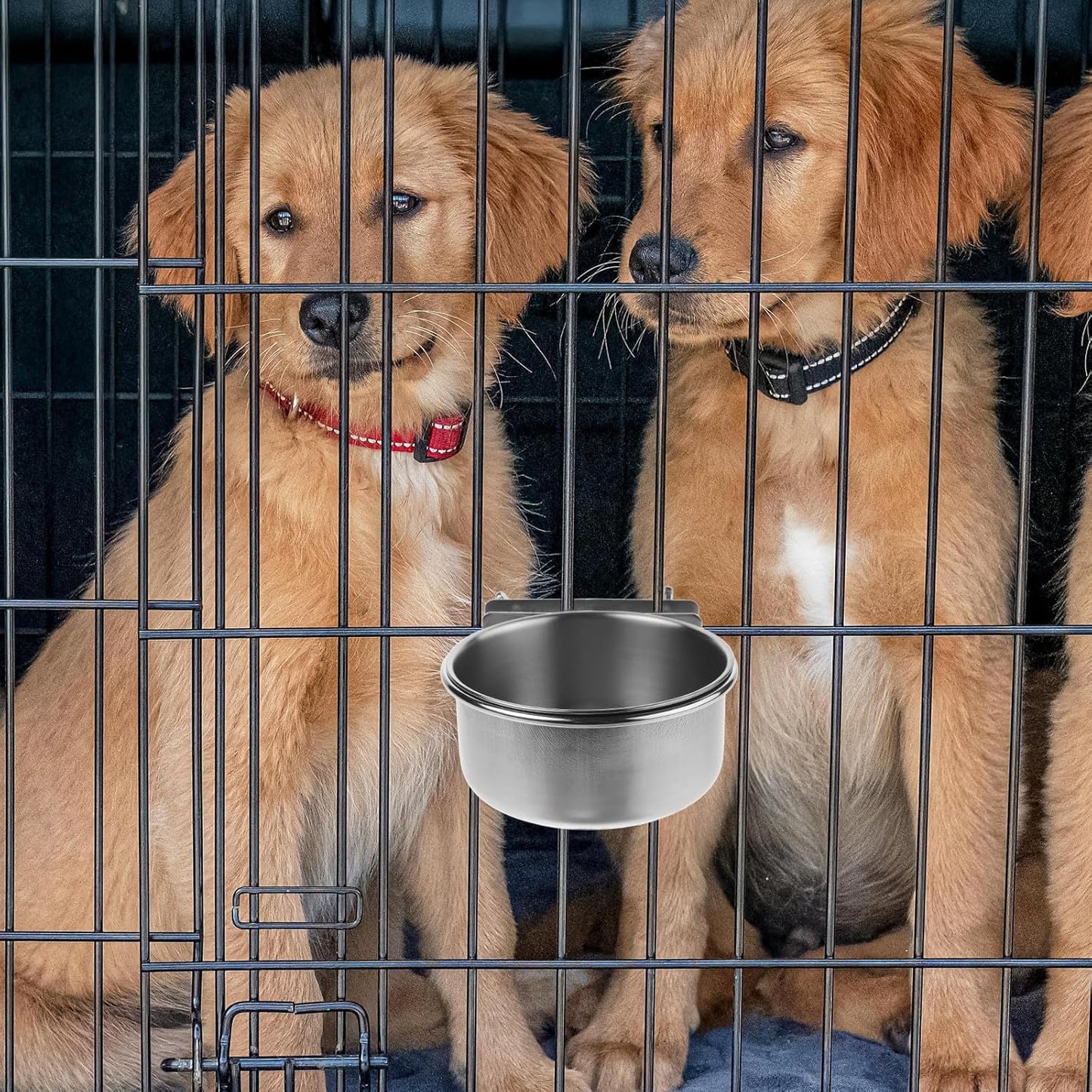 PRETYZOOM Elevated Dog Bowl and Water Dish Set with Stainless Steel Bowls, Wall-Mounted Double Screw Holder 10cm, Non-Spill Feeder for Small to Large Dogs and Puppies