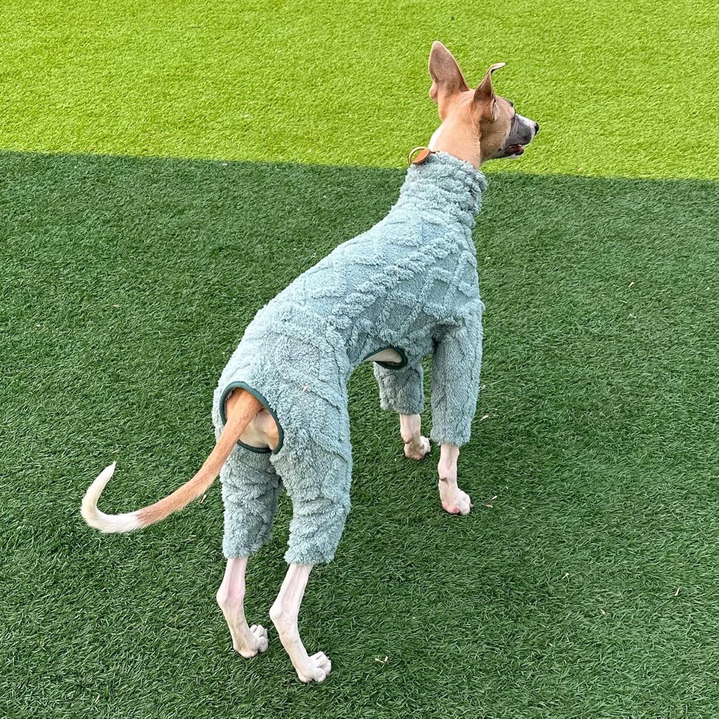 Greyhound Clothes - Dog Winter Warm Fleece Turtleneck Jumpsuit Four-Leg Rompers Long Sleeve Sweatshirt Thick Outdoor Coat for Italian Greyhound Whippet Deerhound Bedlington Terrier (XL,Green)