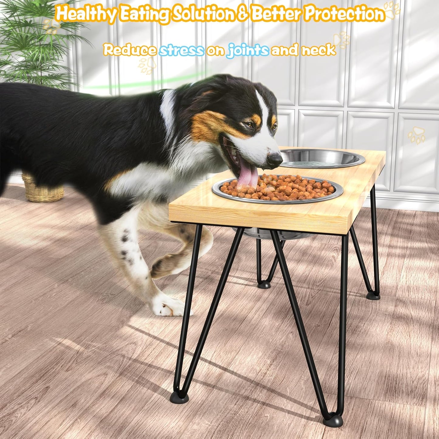ROTHLEY Elevated Dog Bowls: Raised Dog Bowl Stand for Large Dogs Oak Wood Dog Food Stand with 2 Stainless Steel Bowl Set Aesthetic Modern Dog Feeding Table with Non-Slip Hairpin Legs for Tall Dogs