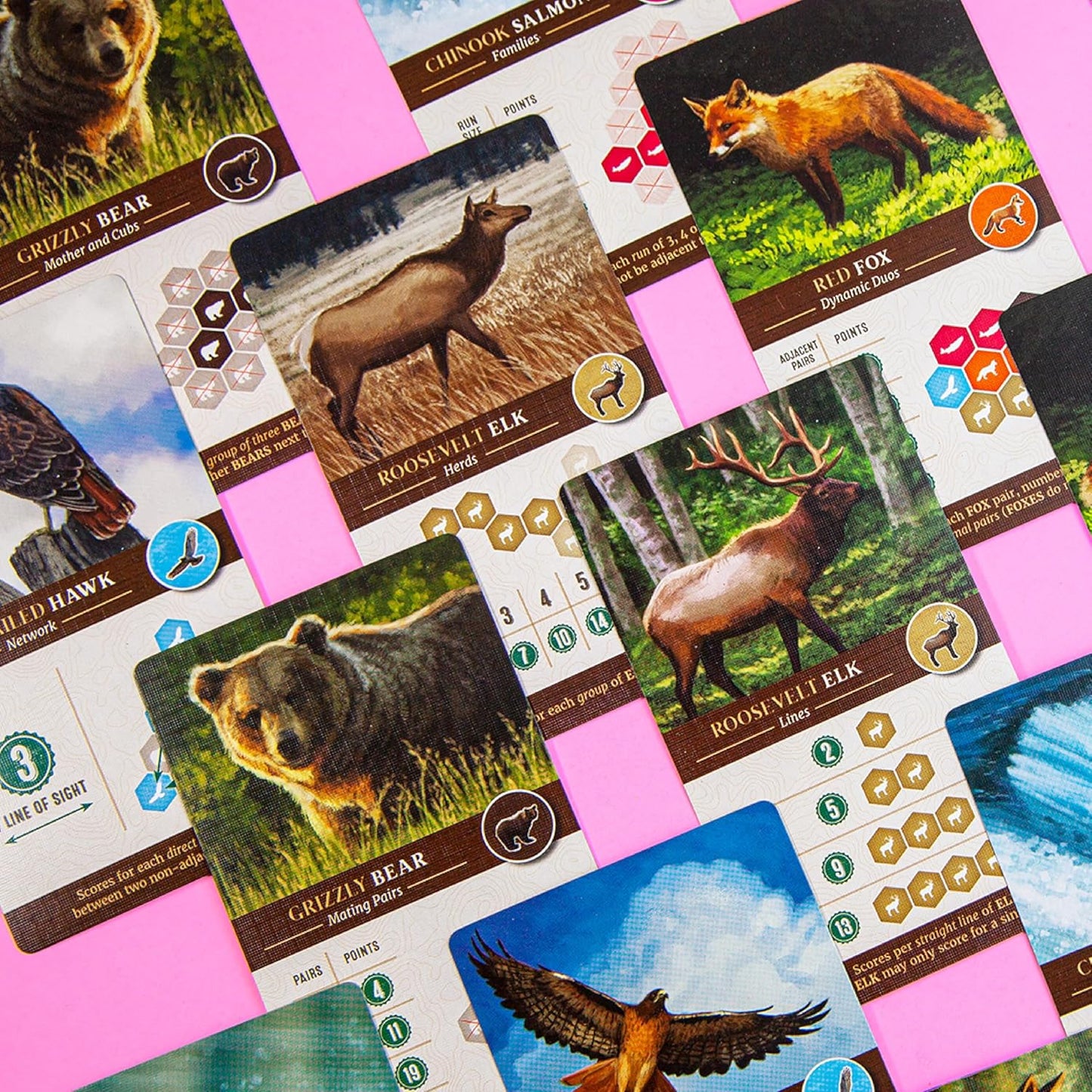AEG & Flatout Games | Cascadia - Award-Winning Board Game Set in the Pacific Northwest | Easy to Learn | Quick to Play | Ages 10+