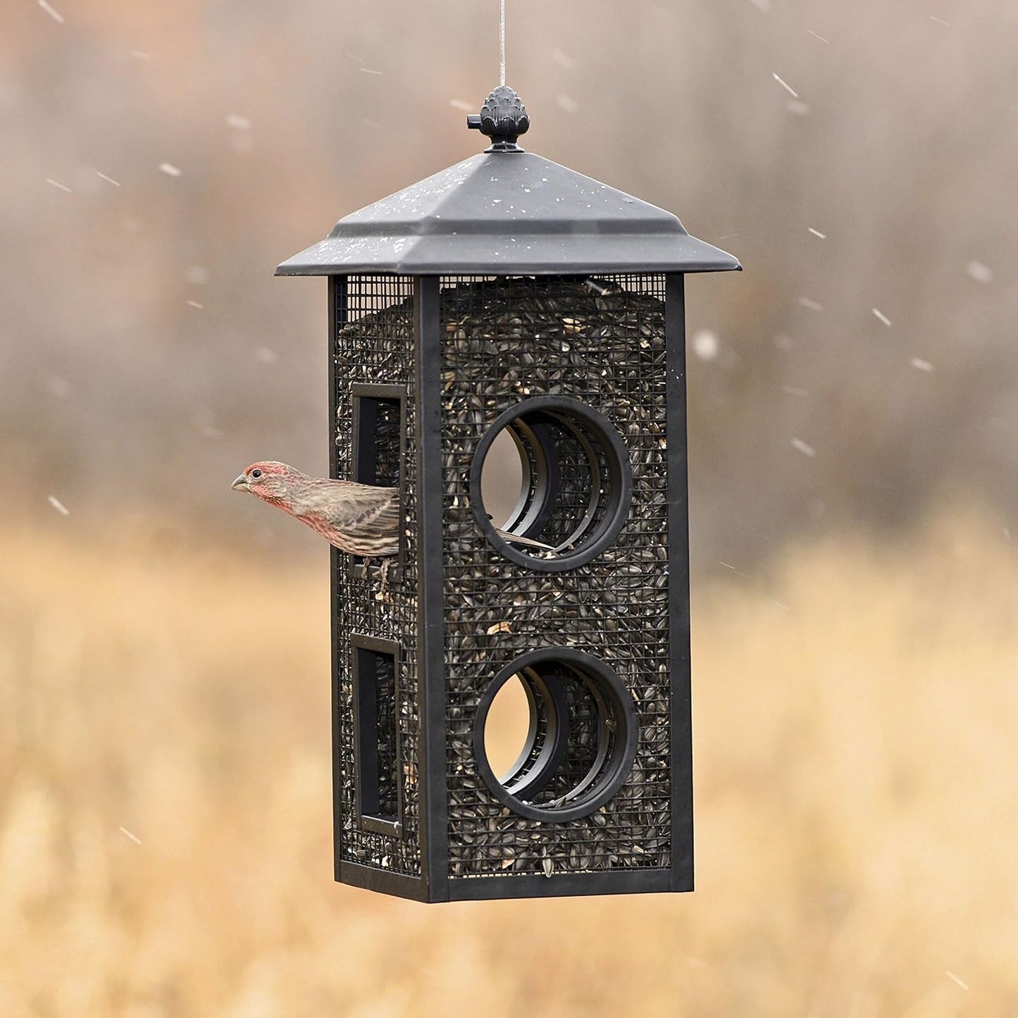 Perky-Pet Fly-Thru Wild Bird Feeder - 2 lb Capacity for Black-Oil Sunflower Seeds - Wild Bird Feeder for Outdoors - Outdoor Decor - B00303