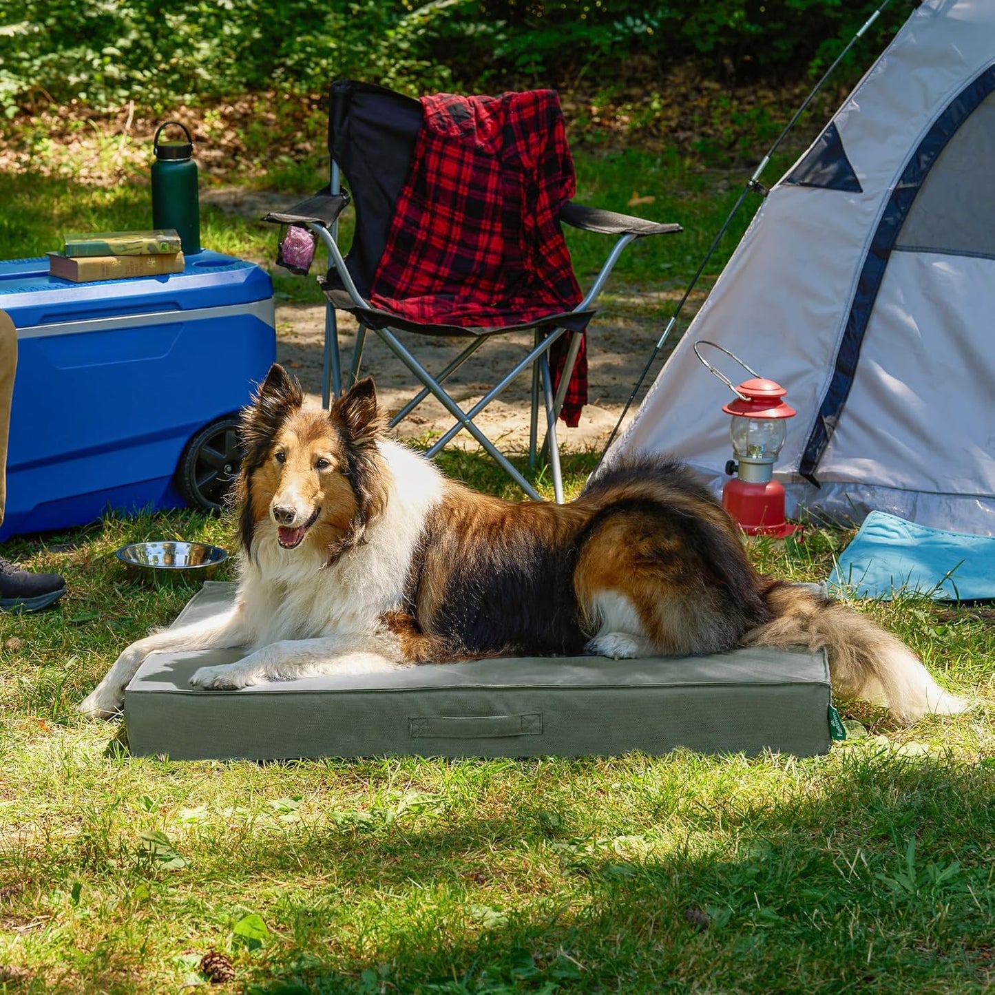 Premium Indoor-Outdoor Deluxe Mattress Pet Bed, Dark Olive, Jumbo
