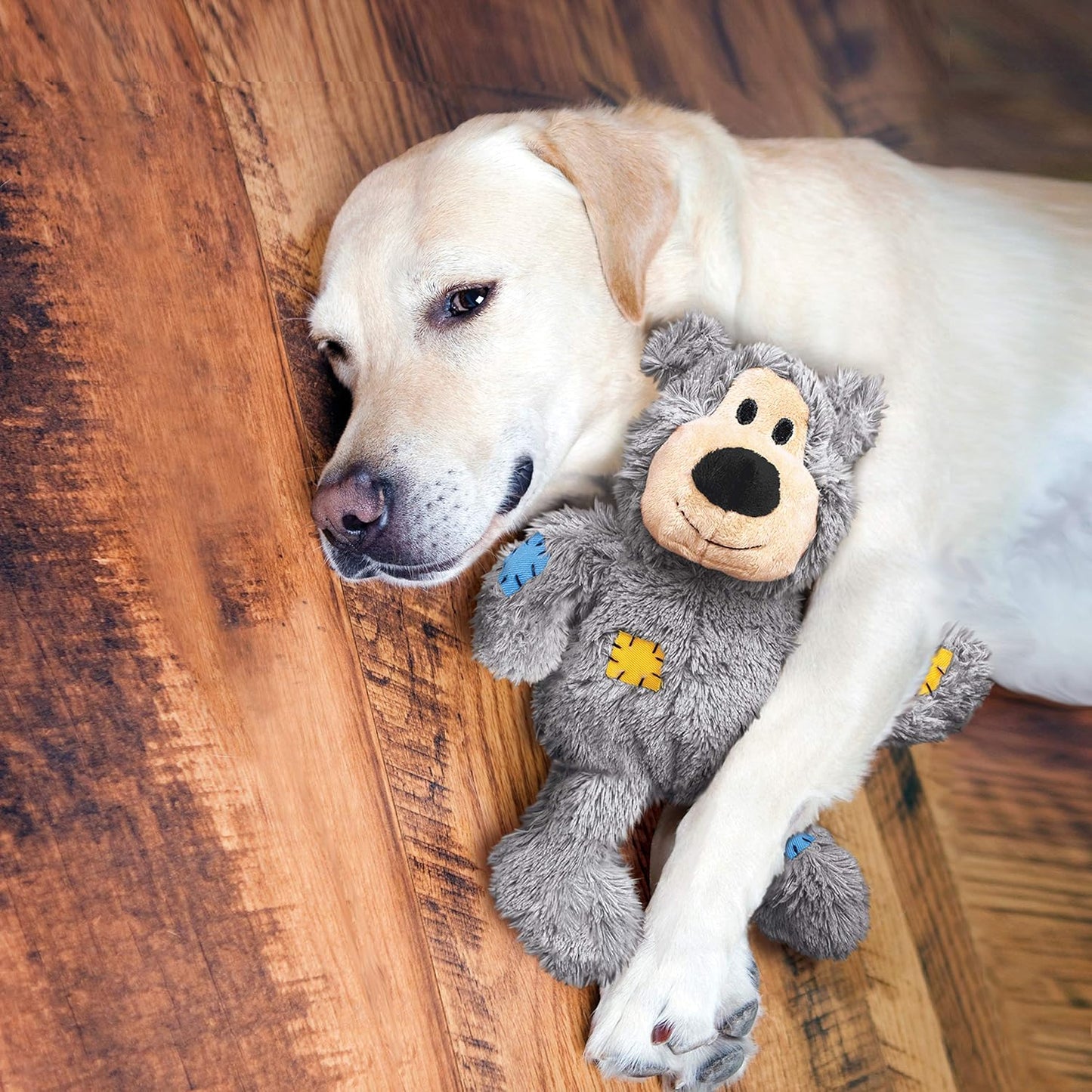 KONG - Wild Knots Bear - Internal Knotted Ropes and Minimal Stuffing for Less Mess - for Small/Medium Dogs (Assorted Colors)