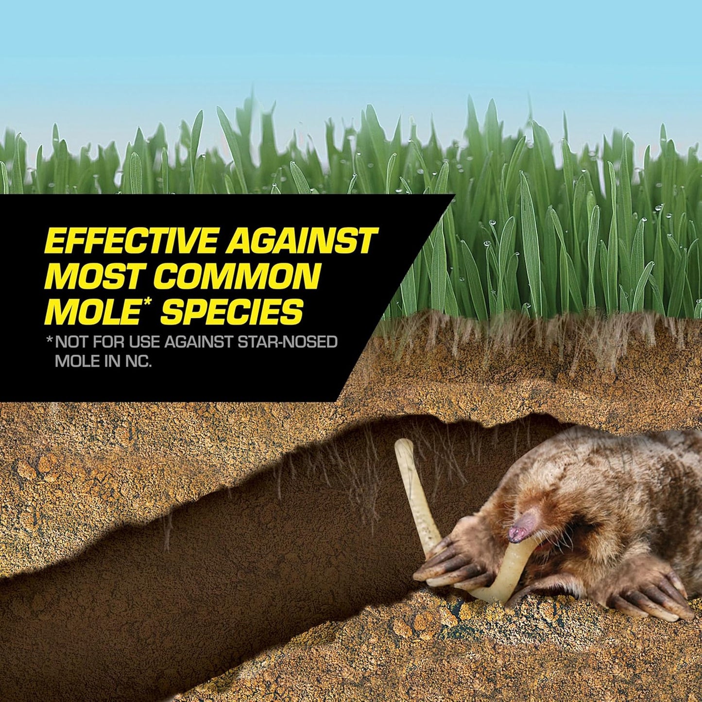 Tomcat Mole Killer(a), Ready-to-Use Worm Bait Strips that Mimic Earthworms, Kills Moles in One Feeding, 10 pk.