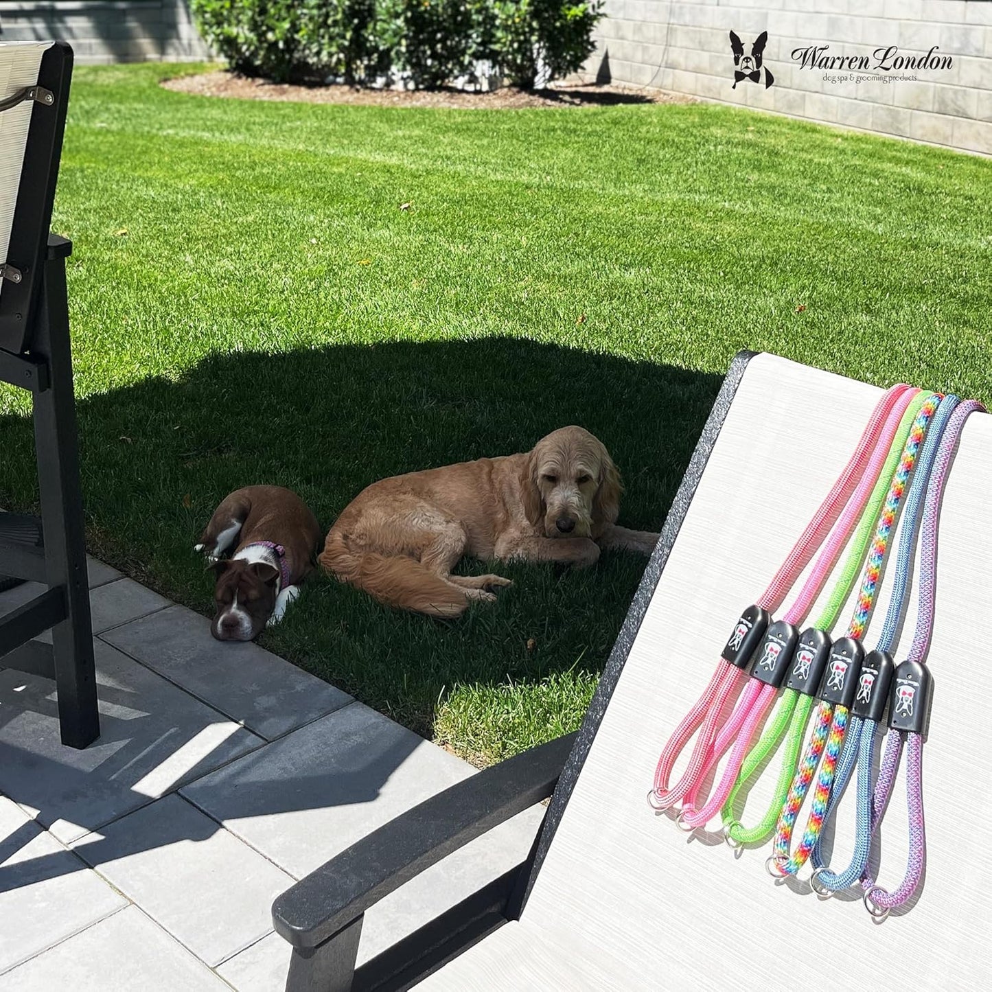 Warren London Climbing Rope Dog Leash – 5 ft Reflective Forest-Green Rope w/Comfort Grip & Locking Clip | Heavy-Duty Lead for Hiking, Camping & Daily Walks