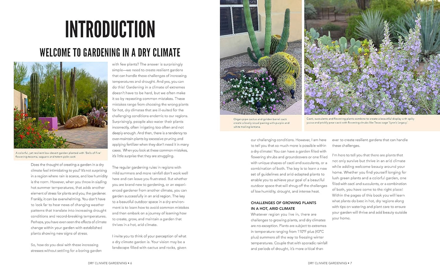 Dry Climate Gardening: Growing beautiful, sustainable gardens in low-water conditions