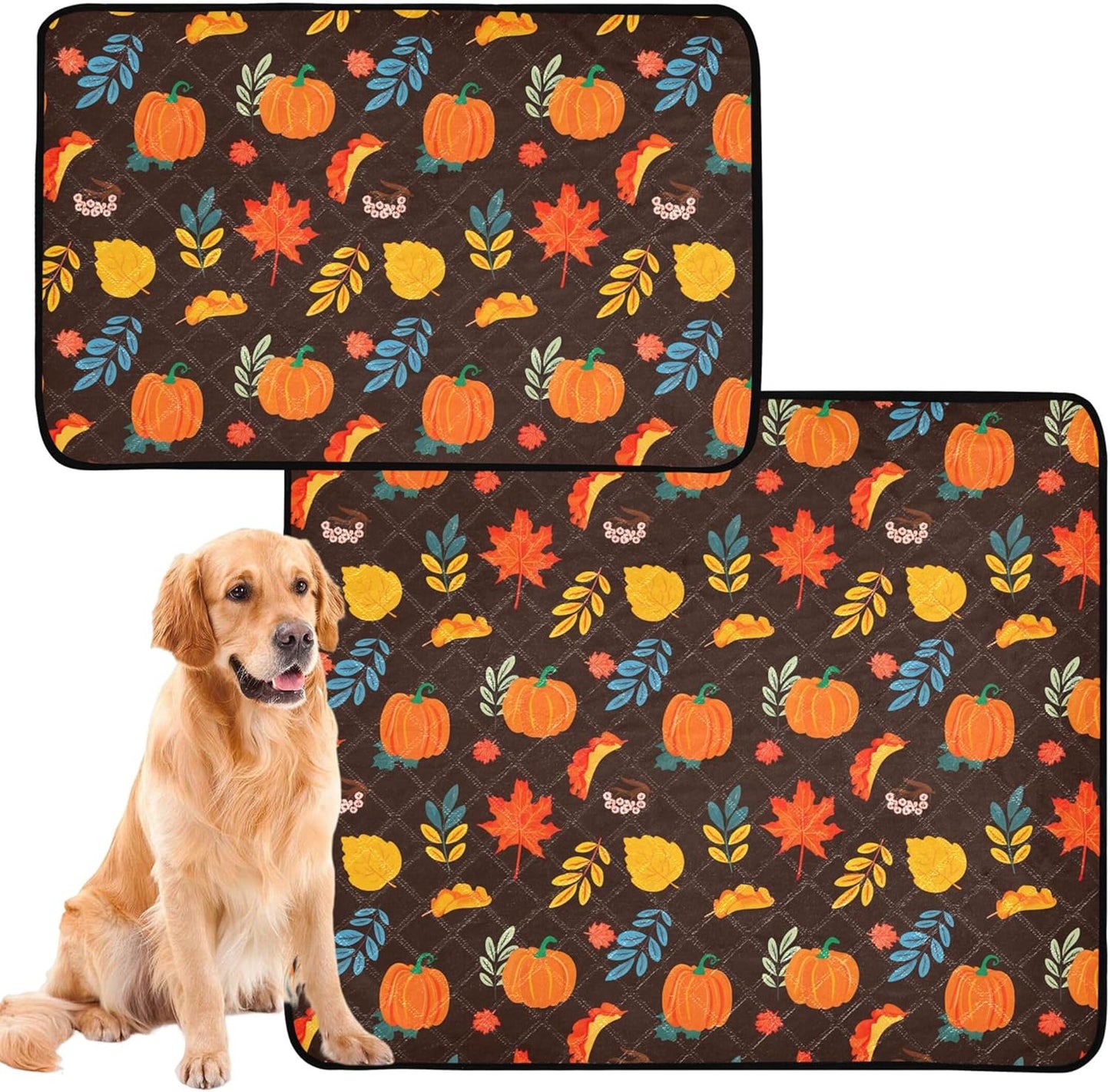 Burbuja Fall Pumpkin Washable Pee Pad for Dogs, Absorbent Leakproof Puppy Training Pad Reusable & Waterproof & Non-Slip Whelping Pad for Playpen Crate Bed Sofa, 20x24 in