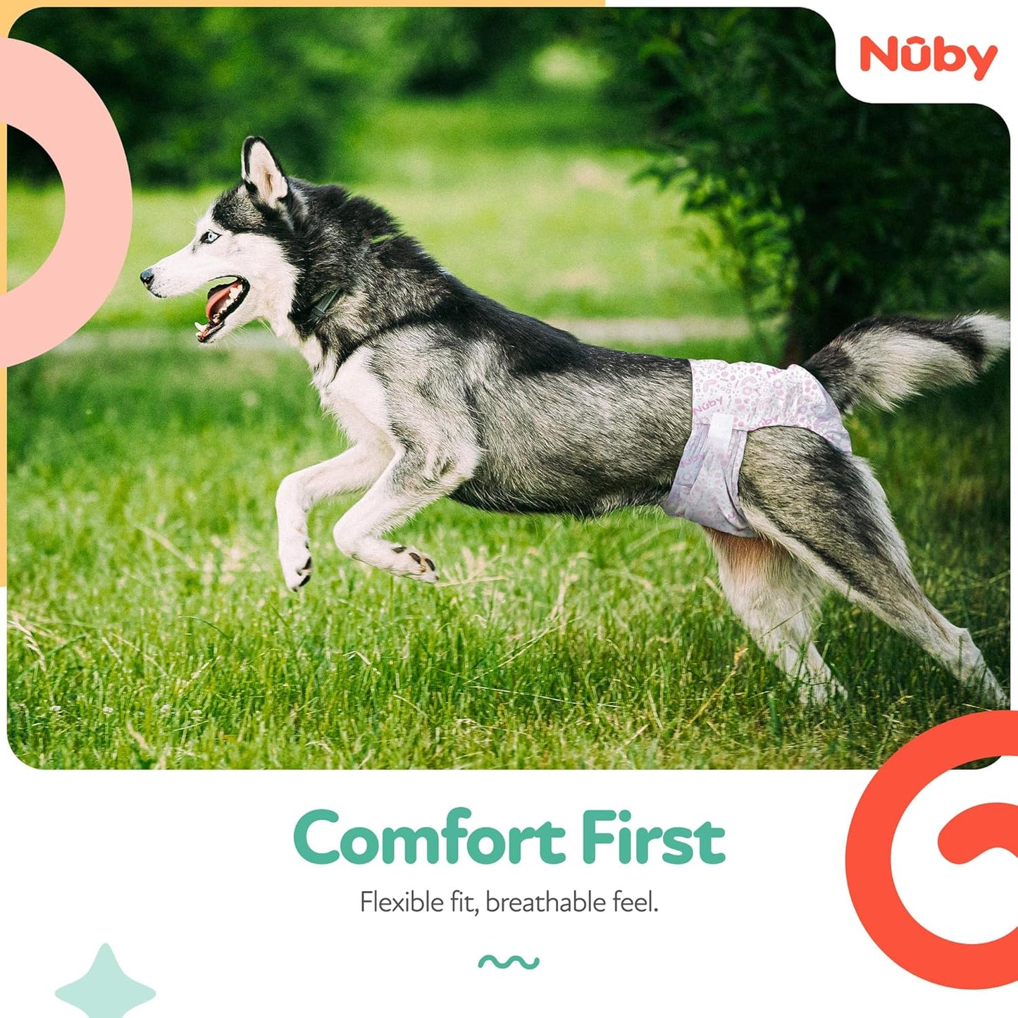 Nuby Pets Disposable Female Dog Diapers with Wetness Indicator, Leak-Resistant & Absorbent for Dogs in Heat, Training & Incontinence, X-Small (9-16” Waist), 50 Count