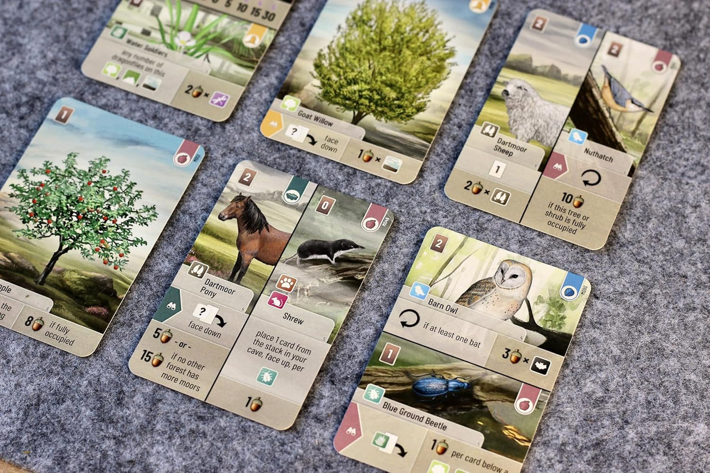 Forest Shuffle Dartmoor Card Game - Build Habitats, Place Trees & Attract Fauna in This Standalone Strategy Game for Kids & Adults, Ages 10+, 2-5 Players, 60 Min Playtime