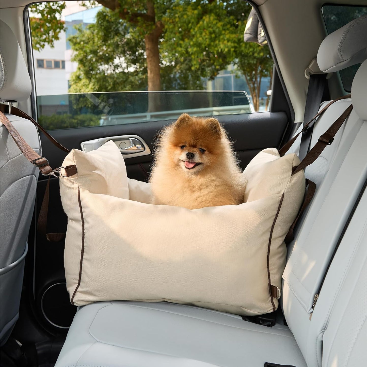 Lesure Small Dog Car Seat for Small Dogs - Dog Booster Seat for Car with Waterproof Bottom, Clip-On Safety Leash and Thickened Memory Foam Filling, Pet Carseat Puppy Travel Carrier Bed, Beige