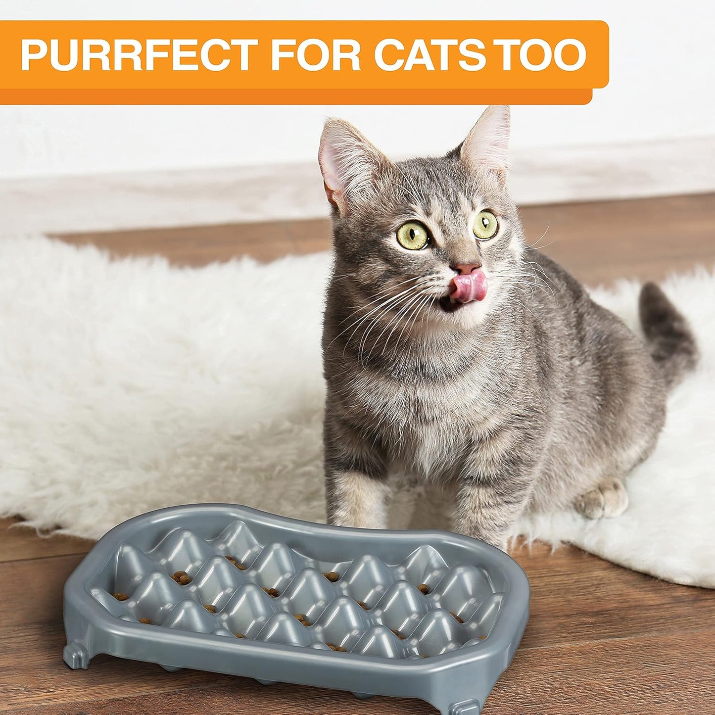 Neater Pet Brands Neater Slow Feeder Dog Bowls, Slows Down Fast Eaters to Help Digestion & Prevent Overeating, Non-Slip Food Bowl, BPA-Free, Holds 2.5 Cup of Food for Small to Medium Breed or Puppy