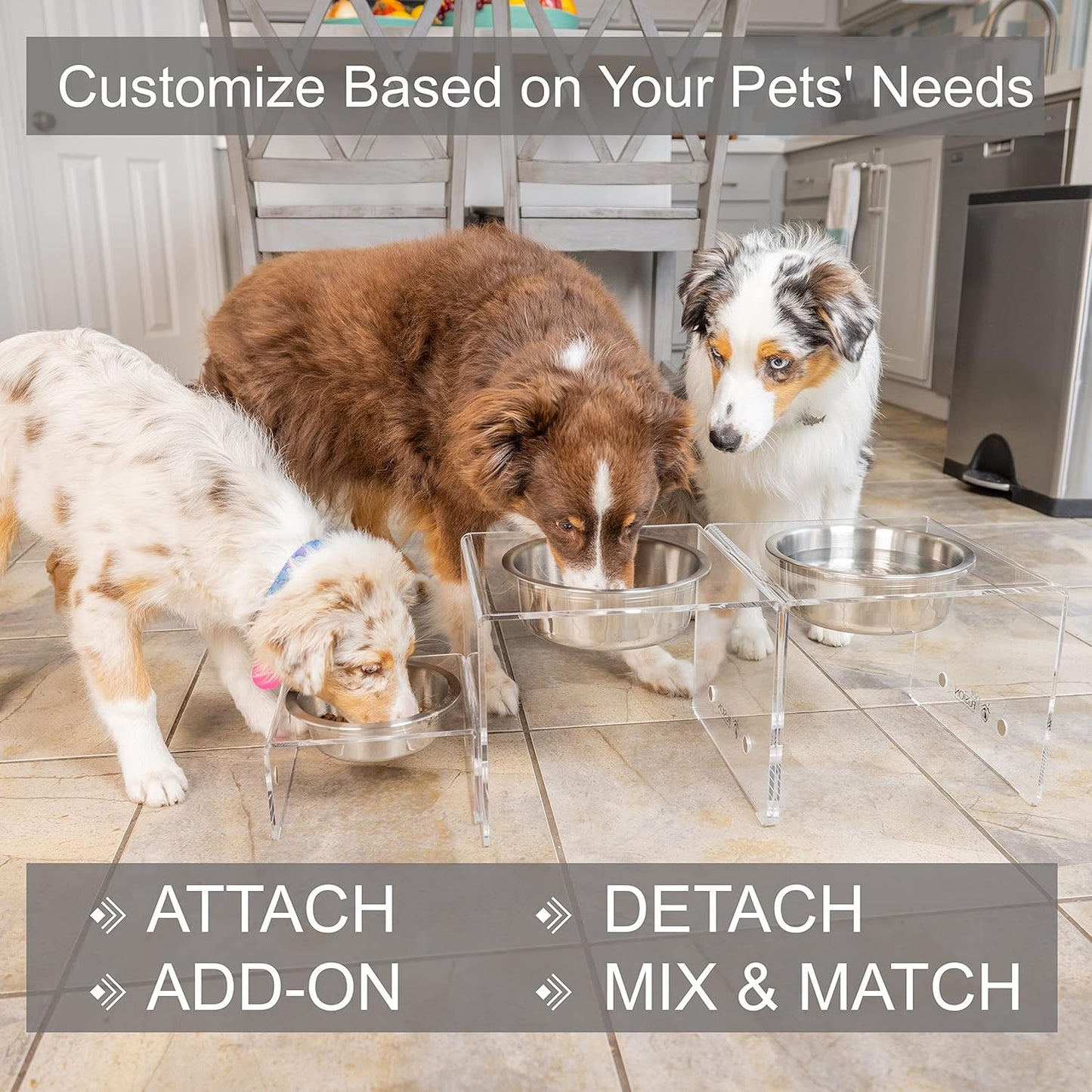 PetFusion Elevated Dog Bowls, Cat Bowls Innovative Raised Pet Feeder