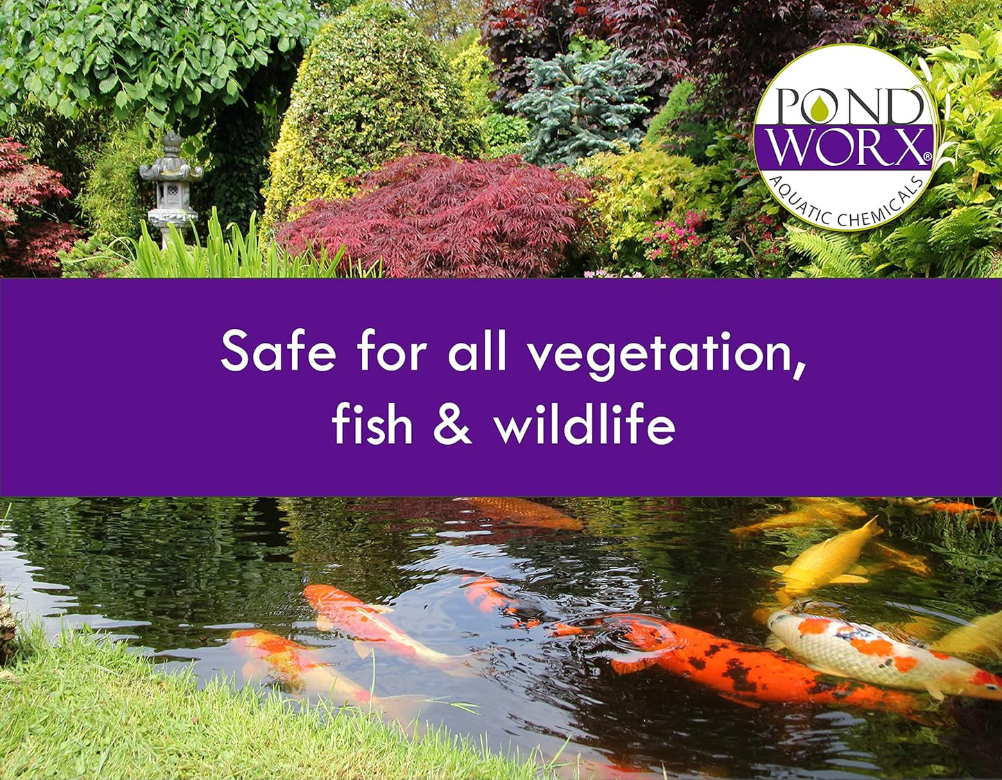 Pondworx Pond Bacteria - Concentrated & Formulated for Water Features - Safe for Koi - 16 Ounces & Treats up to 2,500 gallons of Water