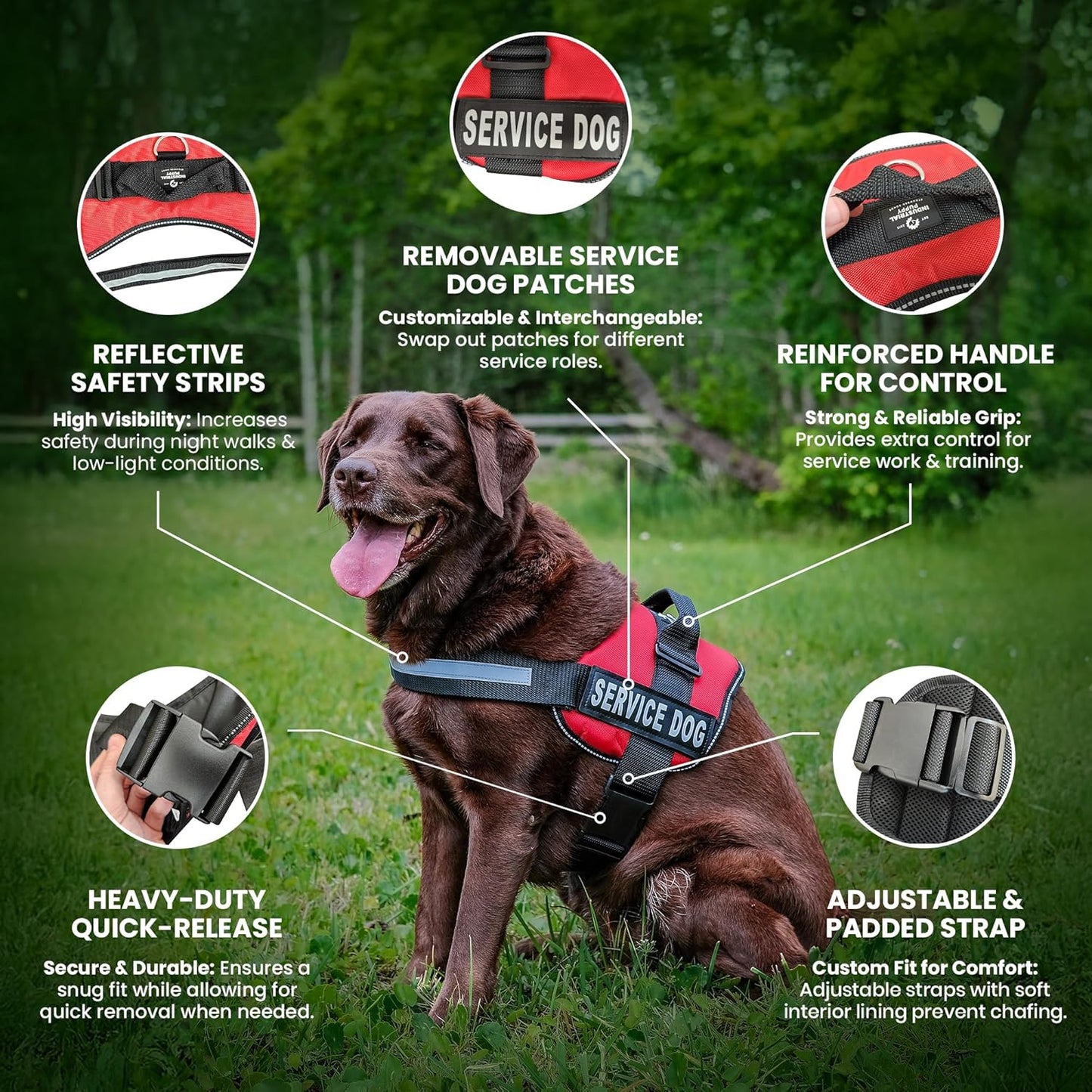 Heavy Duty Emotional Support Dog Vest Harness with Reflective Straps, Interchangeable Patches & Top Handle - ESA Vest in 8 Sizes, Durable Service Dog Harness for Working and Support Dogs
