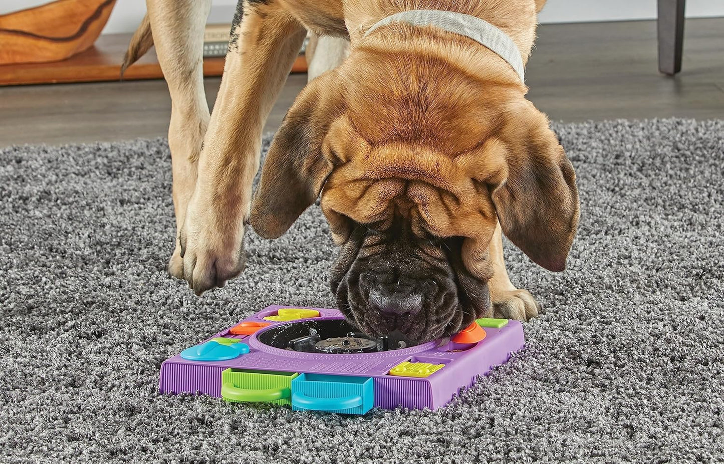 Brightkins DJ Doggo Puzzle Feeder - Enrichment Toys for Dogs Mental Stimulation, Interactive Gift for Puppies